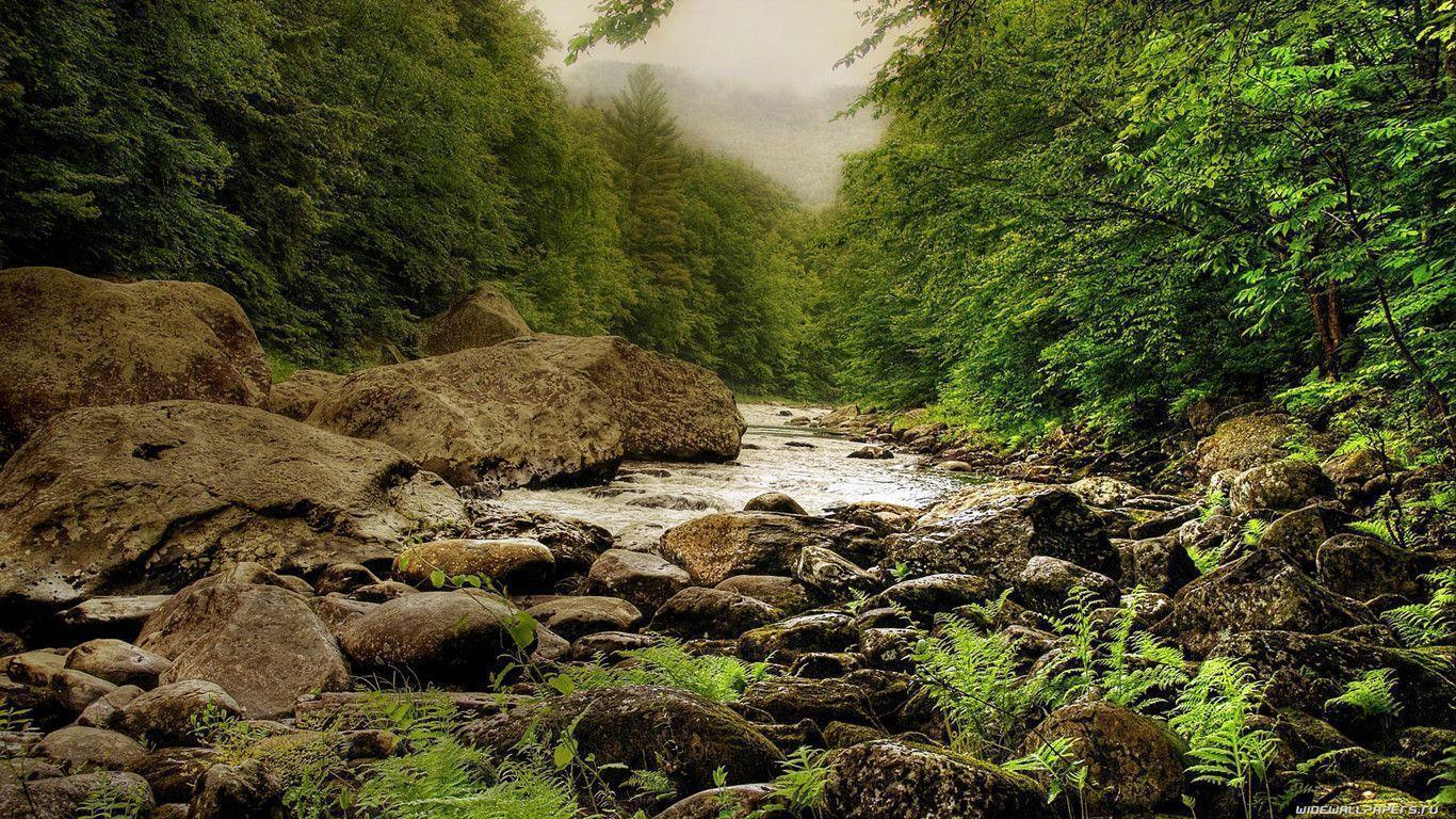 1366x768 Nature Wallpaper 1366x768