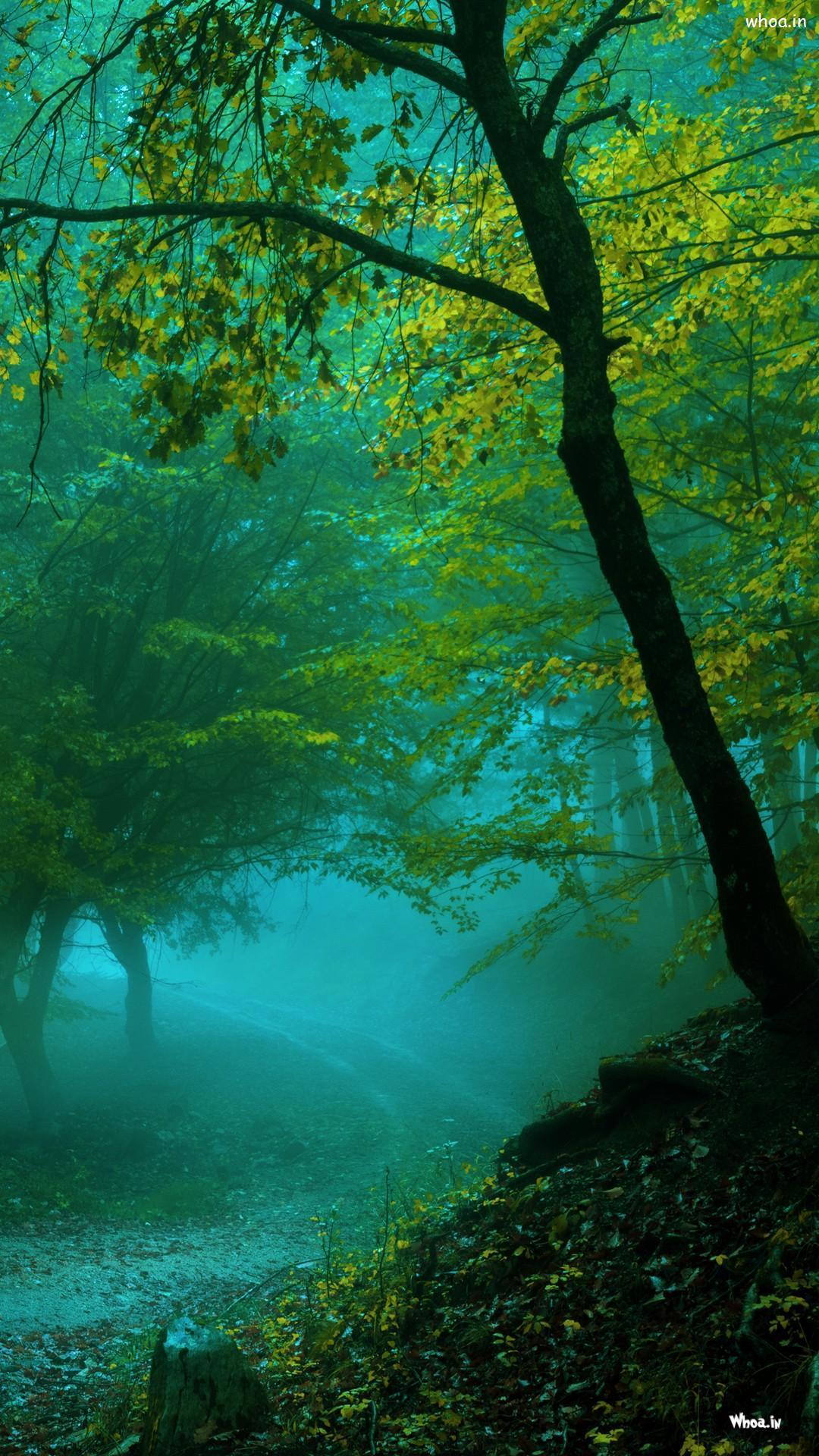 1080x1920 Natural Landscape Mobile Wallpaper & HD Image Wallpaper For Mobiles Mobile Wallpaper Wallpaper