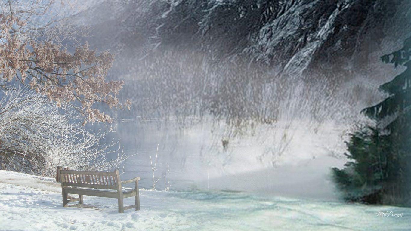 1366x768 Winter Japan Christmas Trees Night Tree Snow Decorations Lights