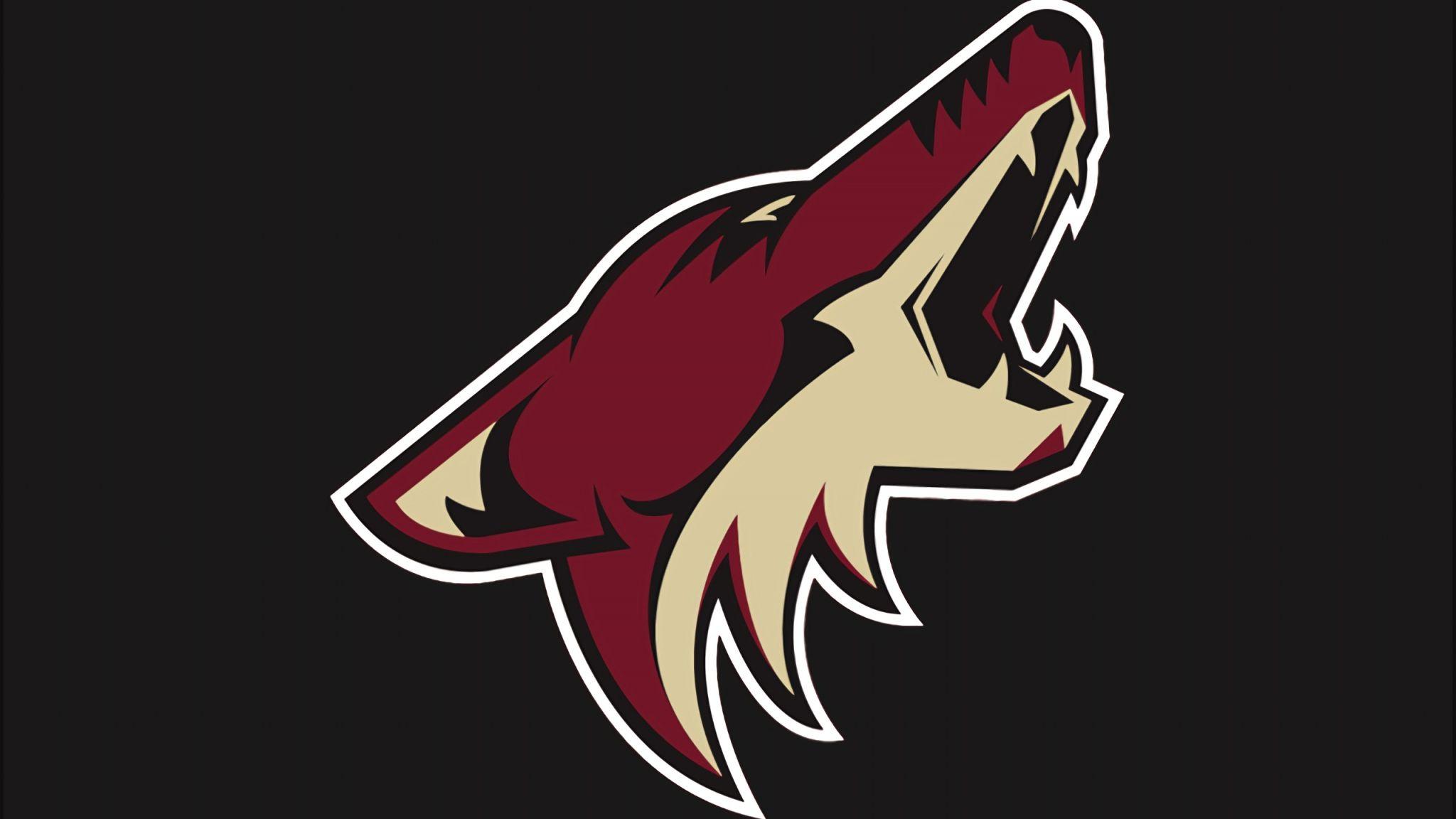 2048x1152 Desktop Wallpaper Arizona Coyotes, Ice Hockey, Sports, Logo, HD Image, Picture, Background, Dcb2e3