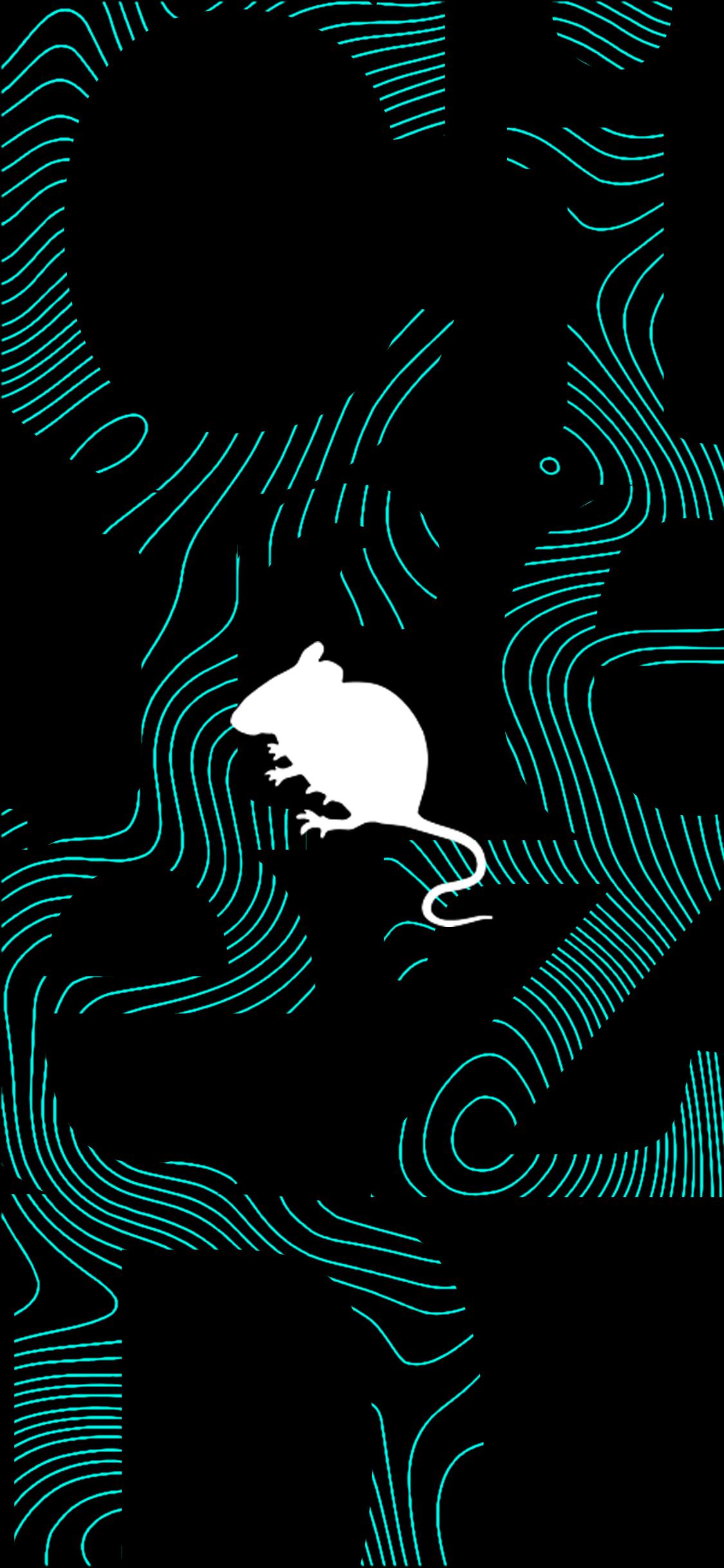 Eric Prydz Wallpapers - Top Free Eric Prydz Backgrounds - WallpaperAccess