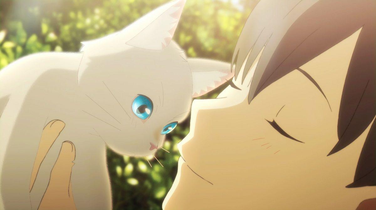 1200x671 Nakitai Watashi wa Neko wo Kaburu Anime Film to Feature Insert Song 'Yakou' by Yorushika. MOSHI MOSHI NIPPON. もしもしにっぽん