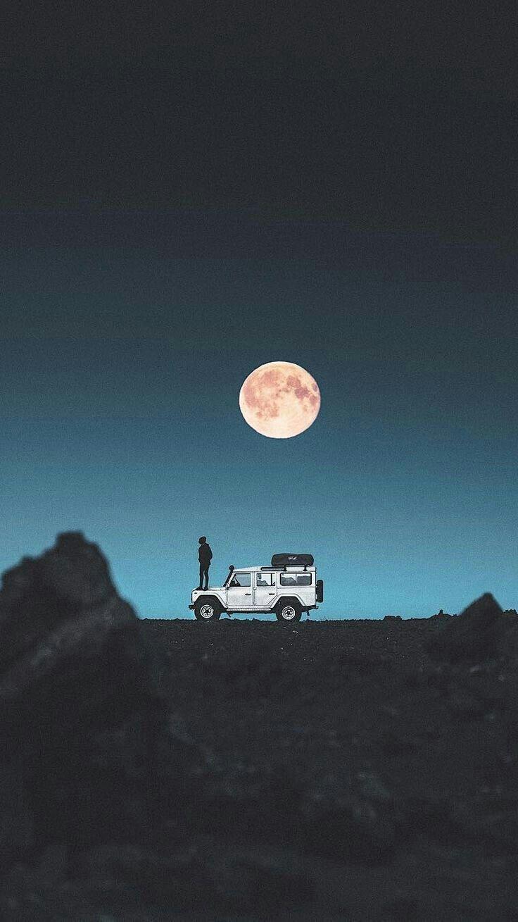 736x1309 Papel de Parede. Android wallpaper, Cool wallpaper, Cartoon wallpaper
