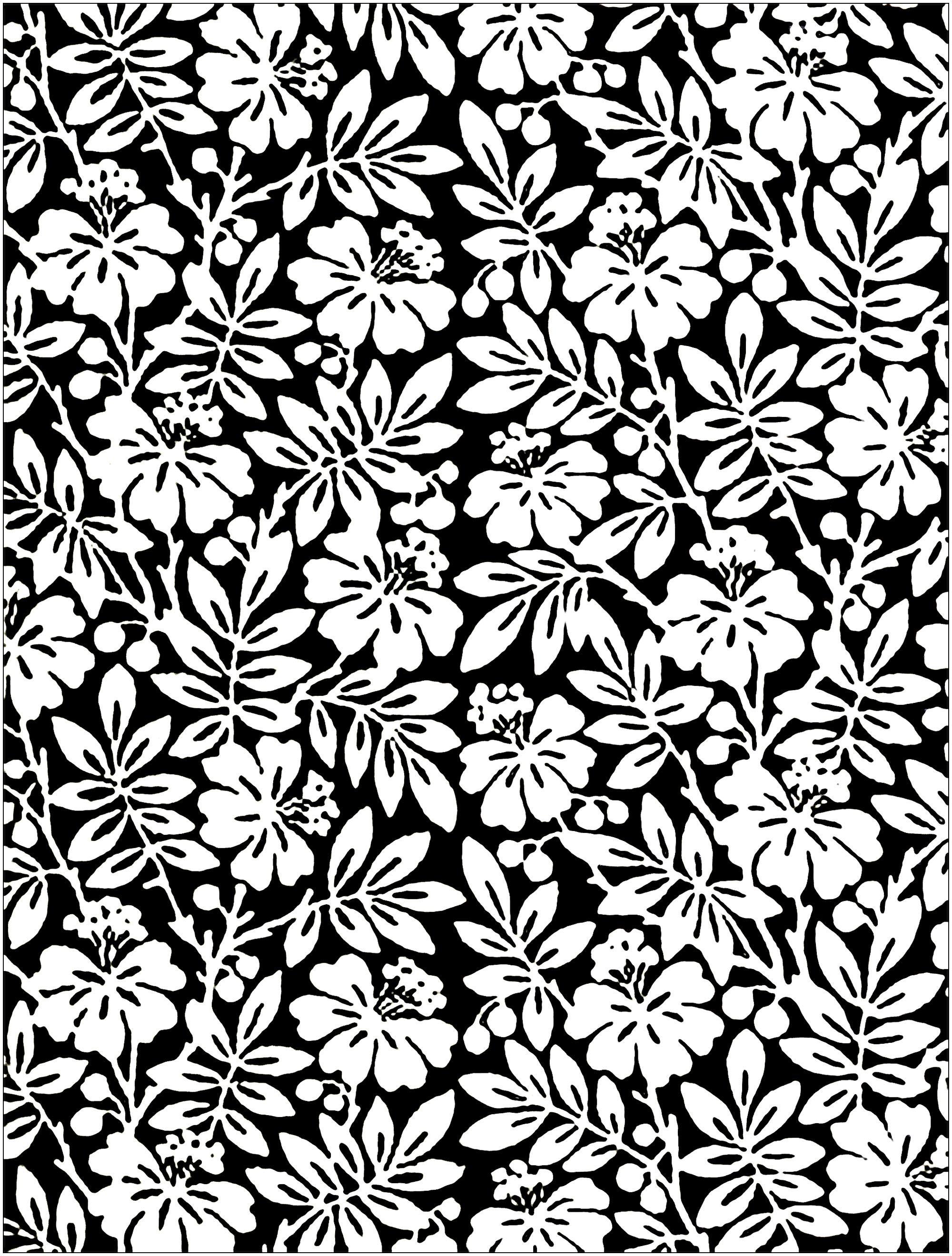 Colouring Pages Wallpapers - Top Free Colouring Pages Backgrounds