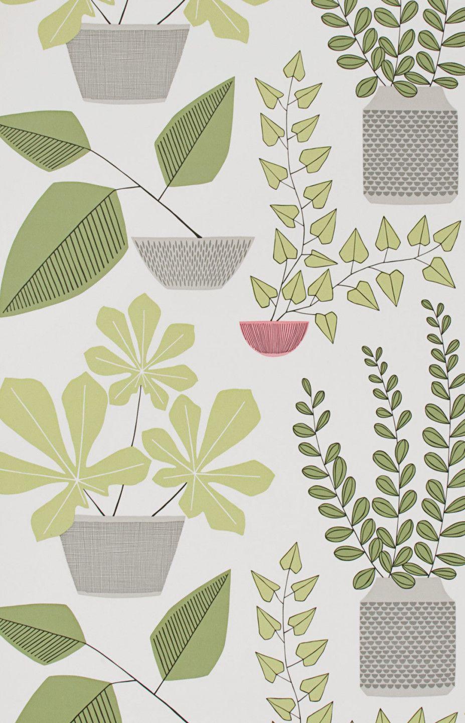 927x1440 House Plants