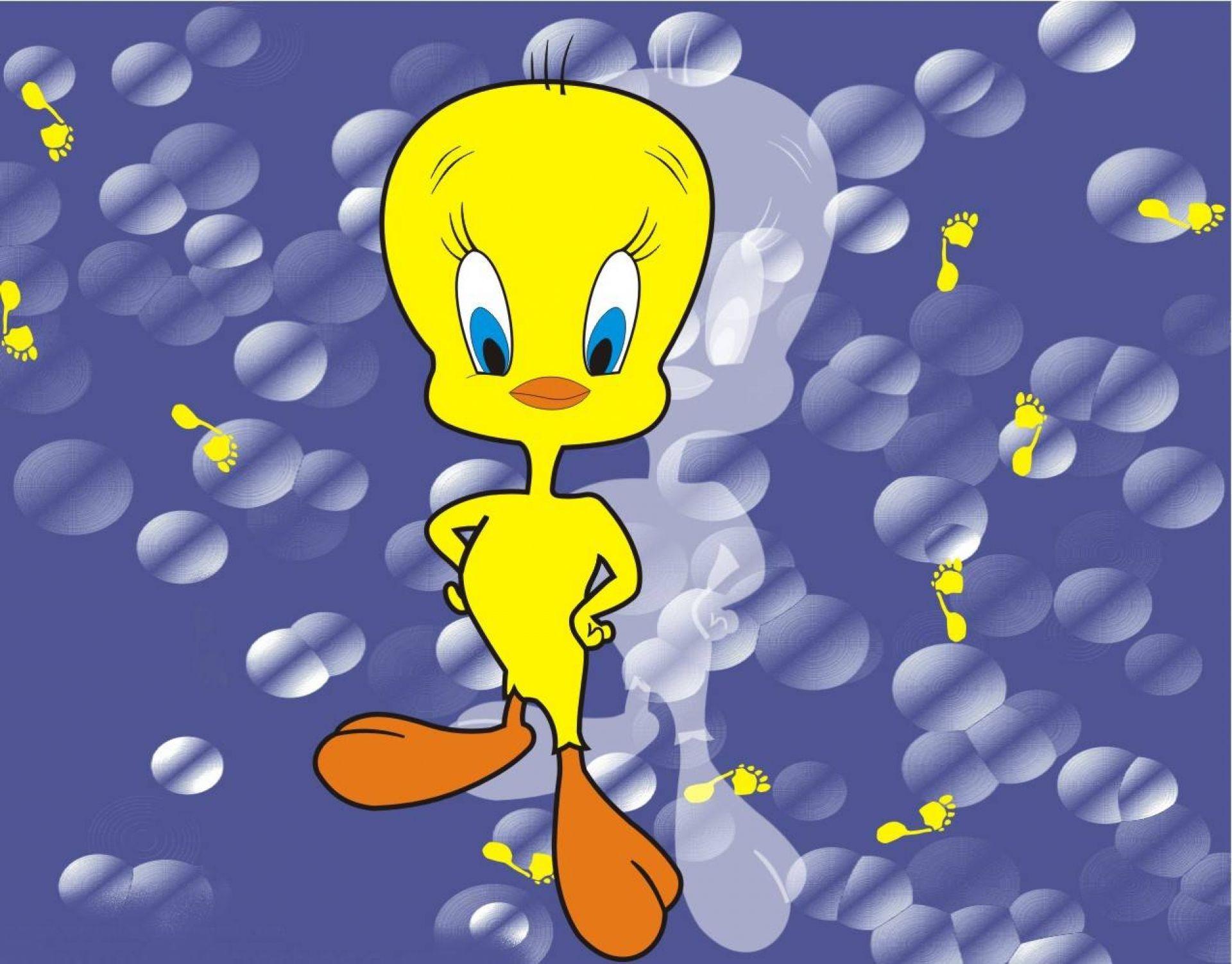 Cute Tweety Bird Wallpapers - Top Free Cute Tweety Bird Backgrounds ...