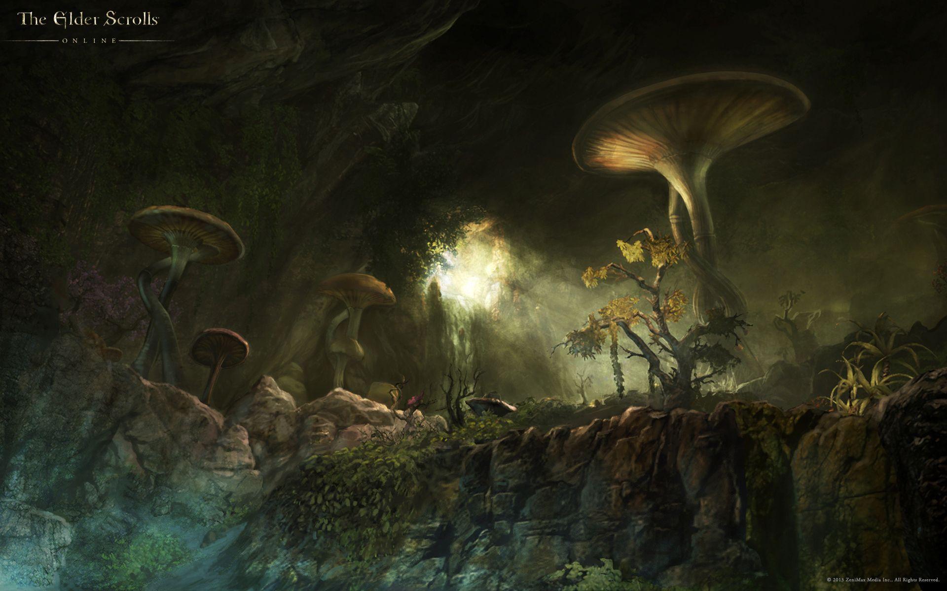 1920x1200 The Elder Scrolls Online Wallpaper Art Scrolls Online HD
