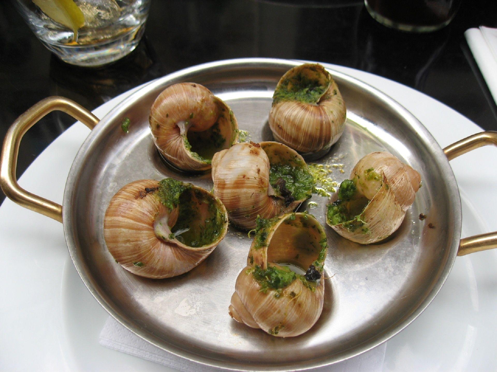 1920x1440 Download free photo of Gourmet, escargots, snails, garlic, dish