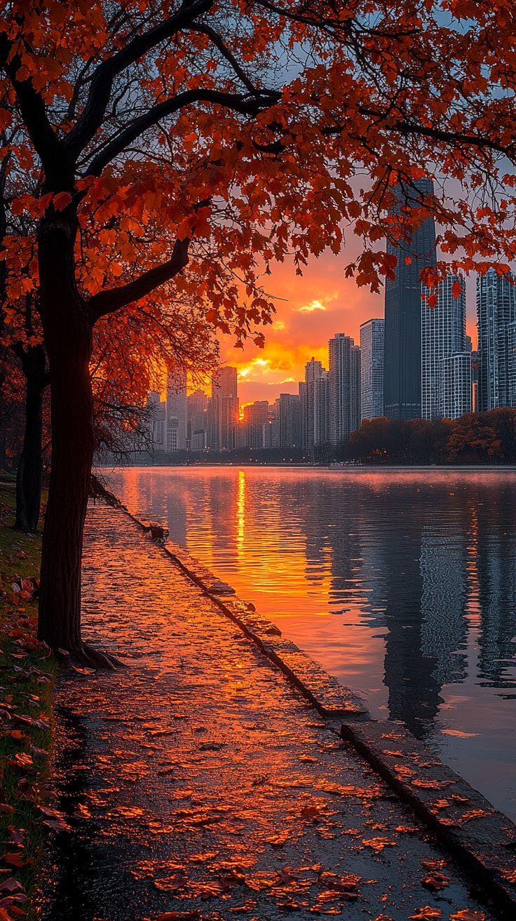736x1313 Stunning Chicago Sunrise: Monet Inspired Autumn Skyline Reflections. Fall Landscape Photography, Nature Iphone Wallpaper, Beautiful Wallpaper For Phone