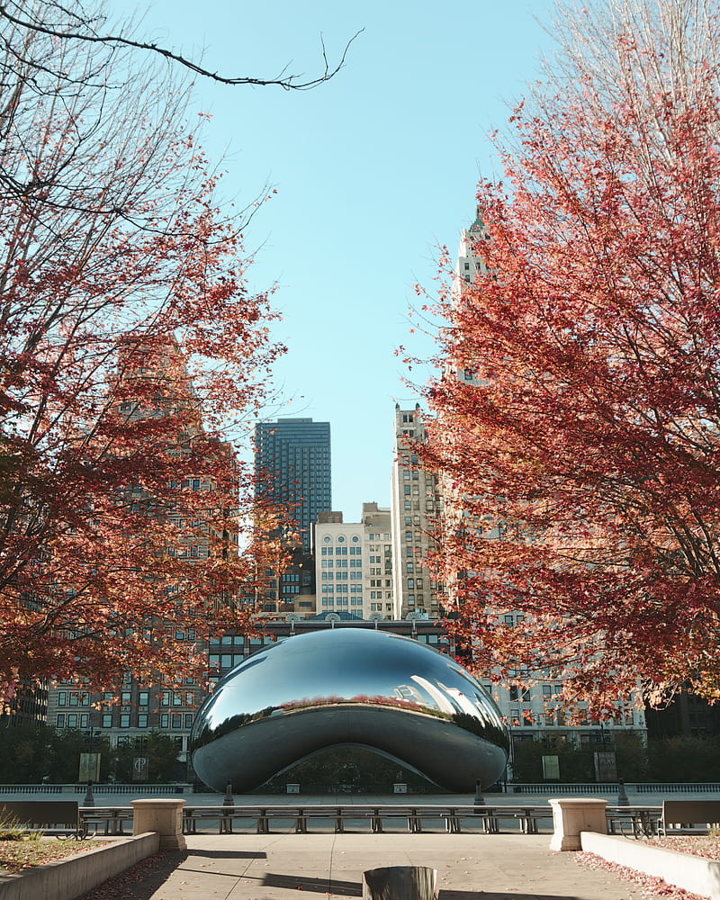 800x1000 Cloud Gate, Chicago at daytime, HD phone wallpaper