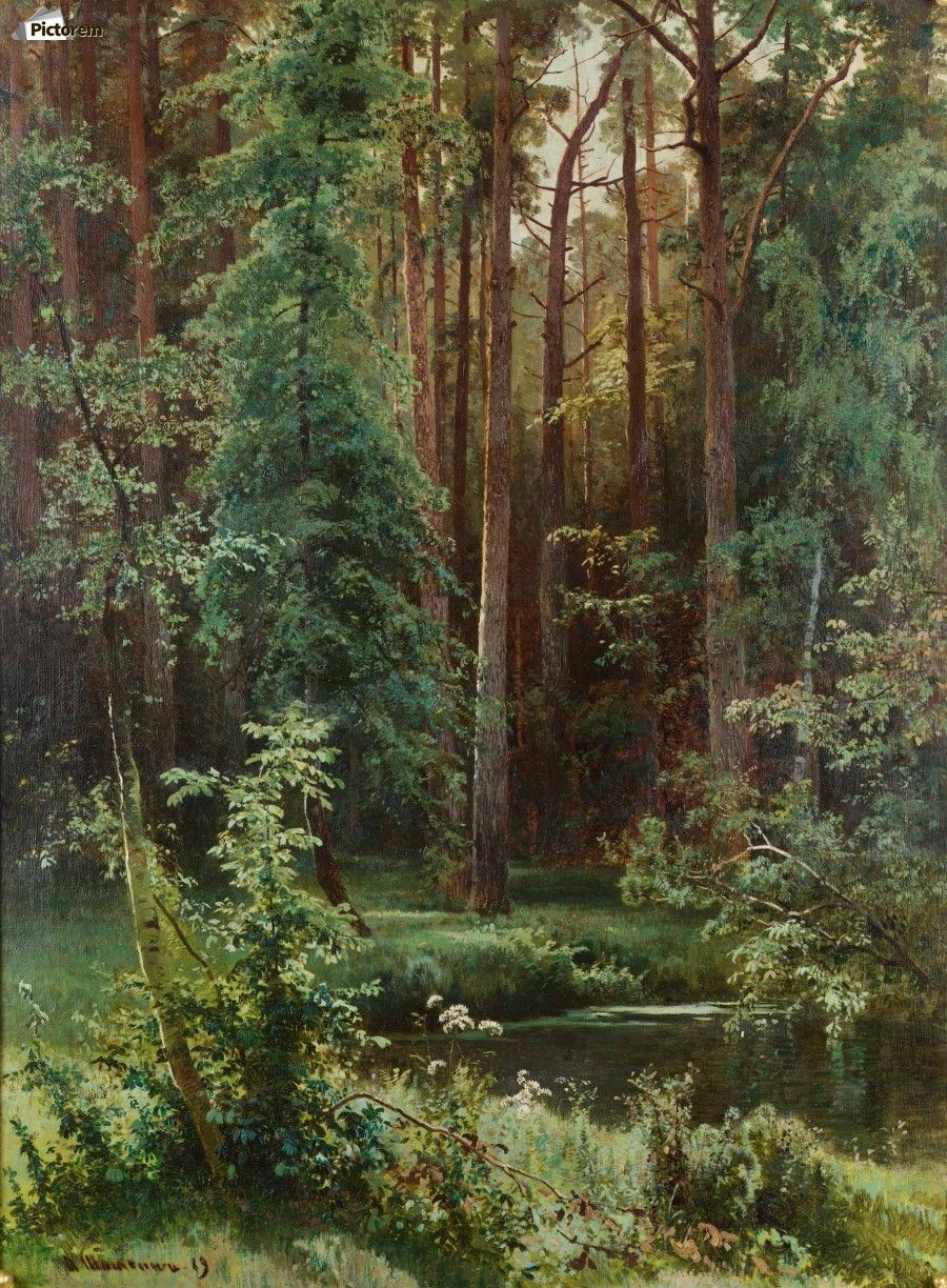 900x1224 Sunny forest by Ivan Shishkin Wall Art