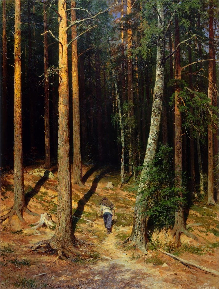 900x1190 Pine forest by Ivan Shishkin Wall Art
