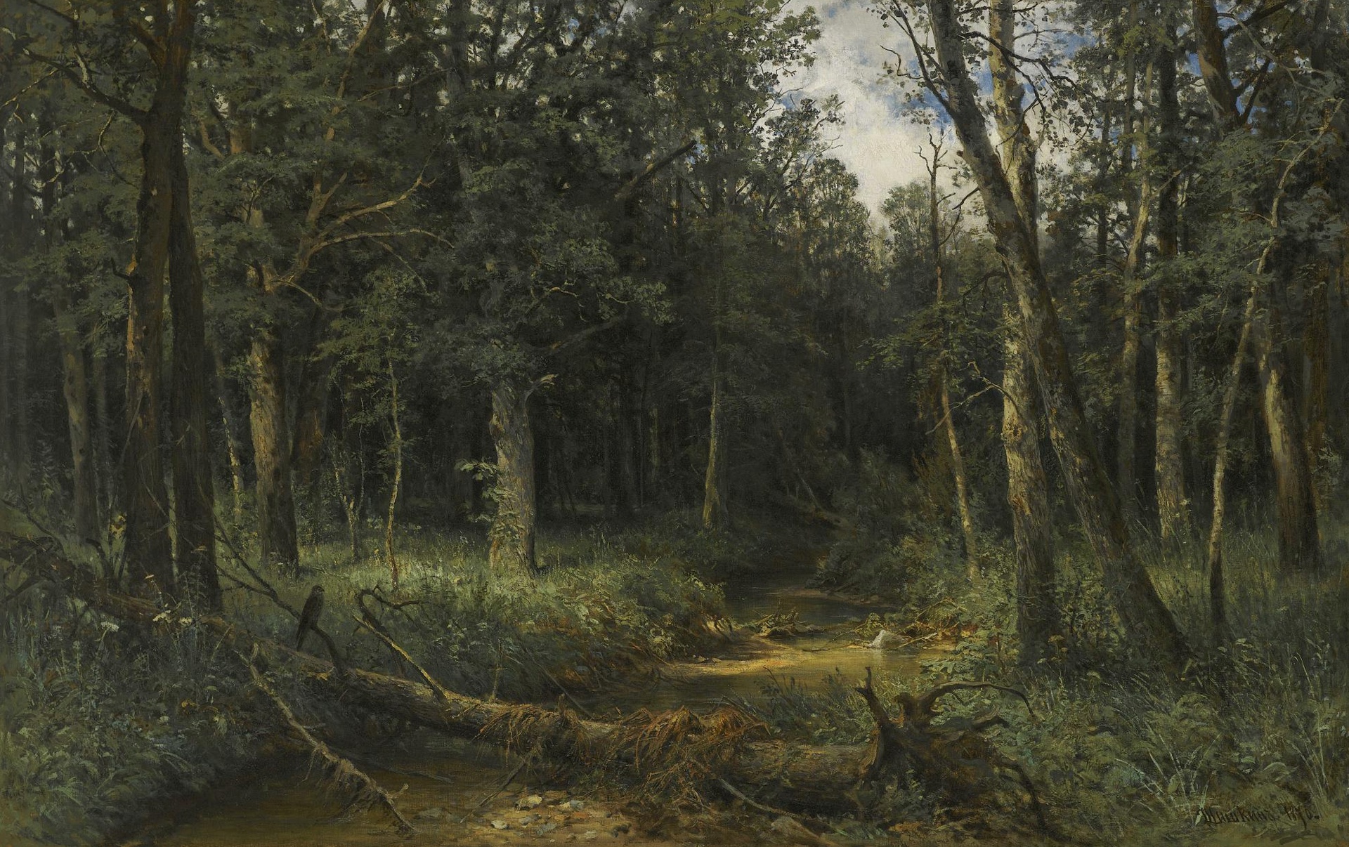 1920x1206 Wallpaper Ivan Ivanovich Shishkin, forest, landscape, picture, Dark Wood for mobile and desktop, section живопись, resolution 1920x1206