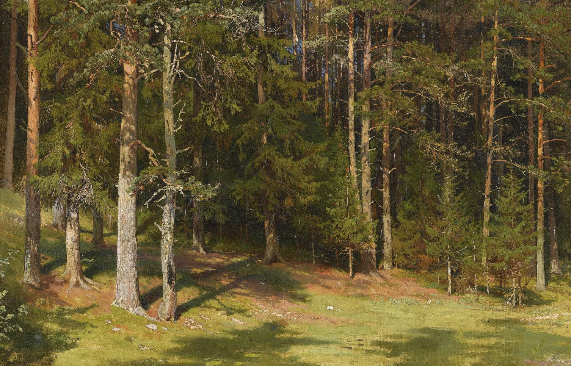 1920x1230 Wallpaper Ivan Ivanovich Shishkin, forest, trees, Cleaning, nature, landscape, picture for mobile and desktop, section живопись, resolution 1920x1230
