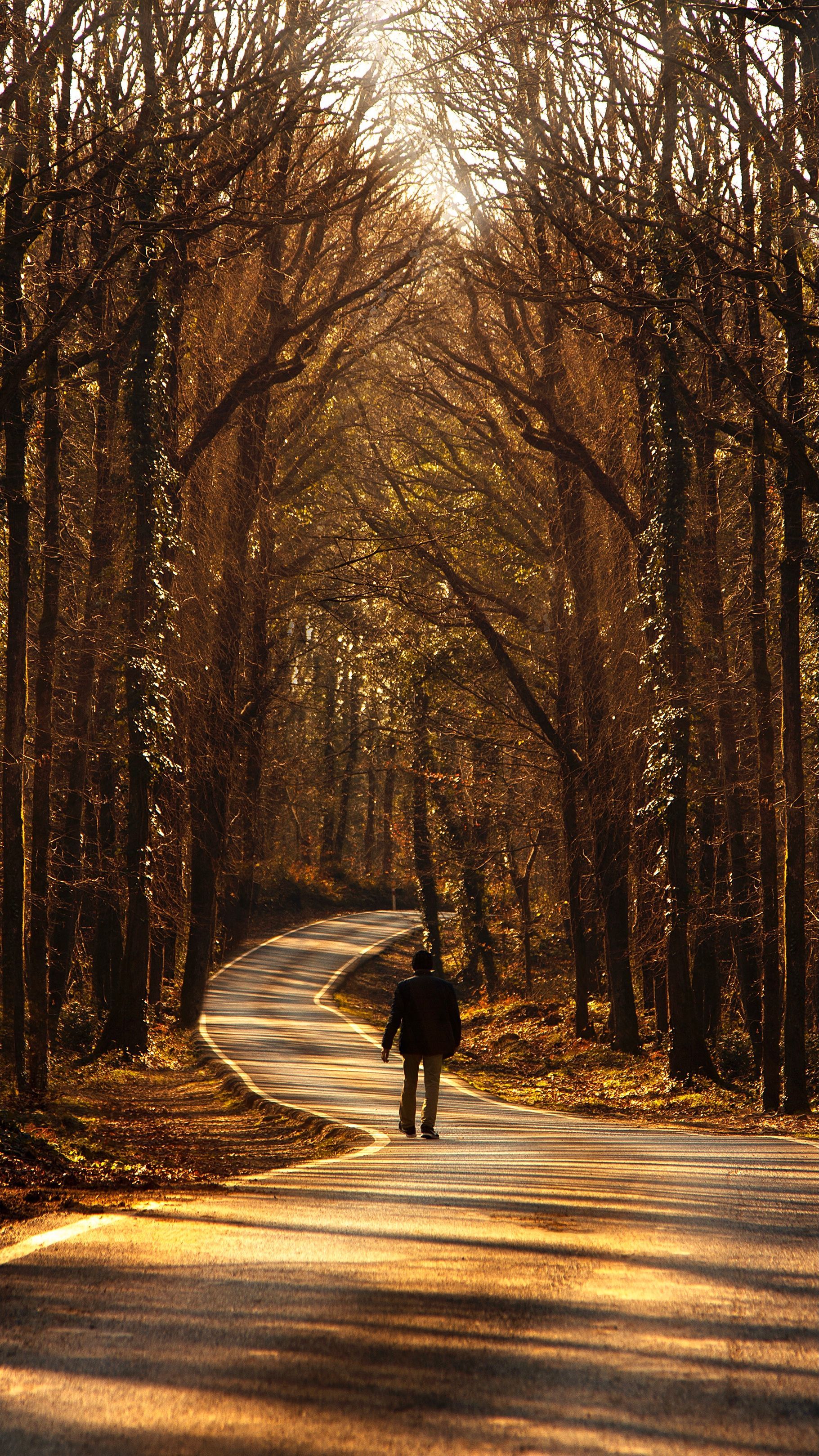 1821x3238 Take A Walk Photo, Download The BEST Free Take A Walk & HD Image