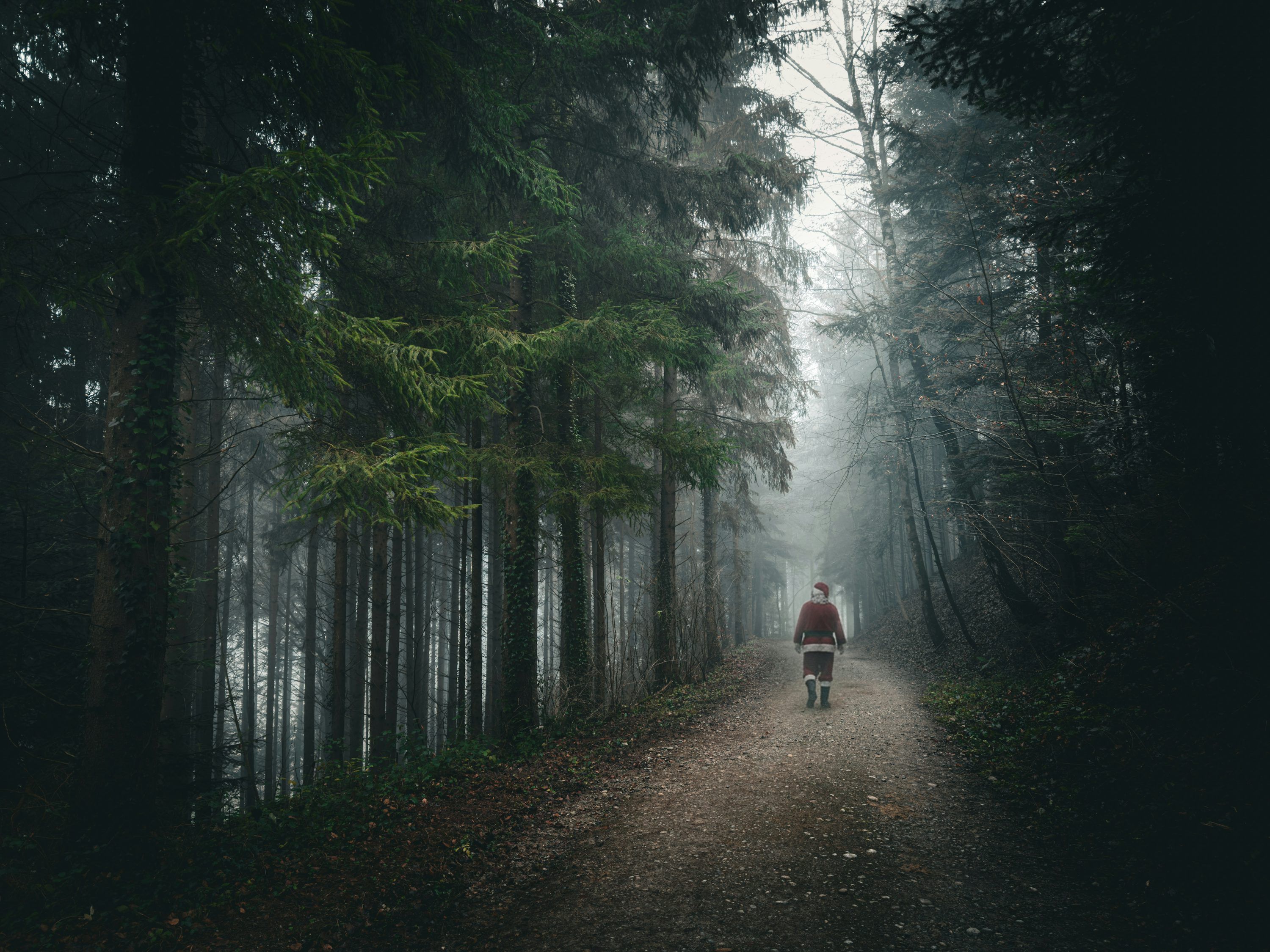 3000x2250 Person walking on a foggy forest path
