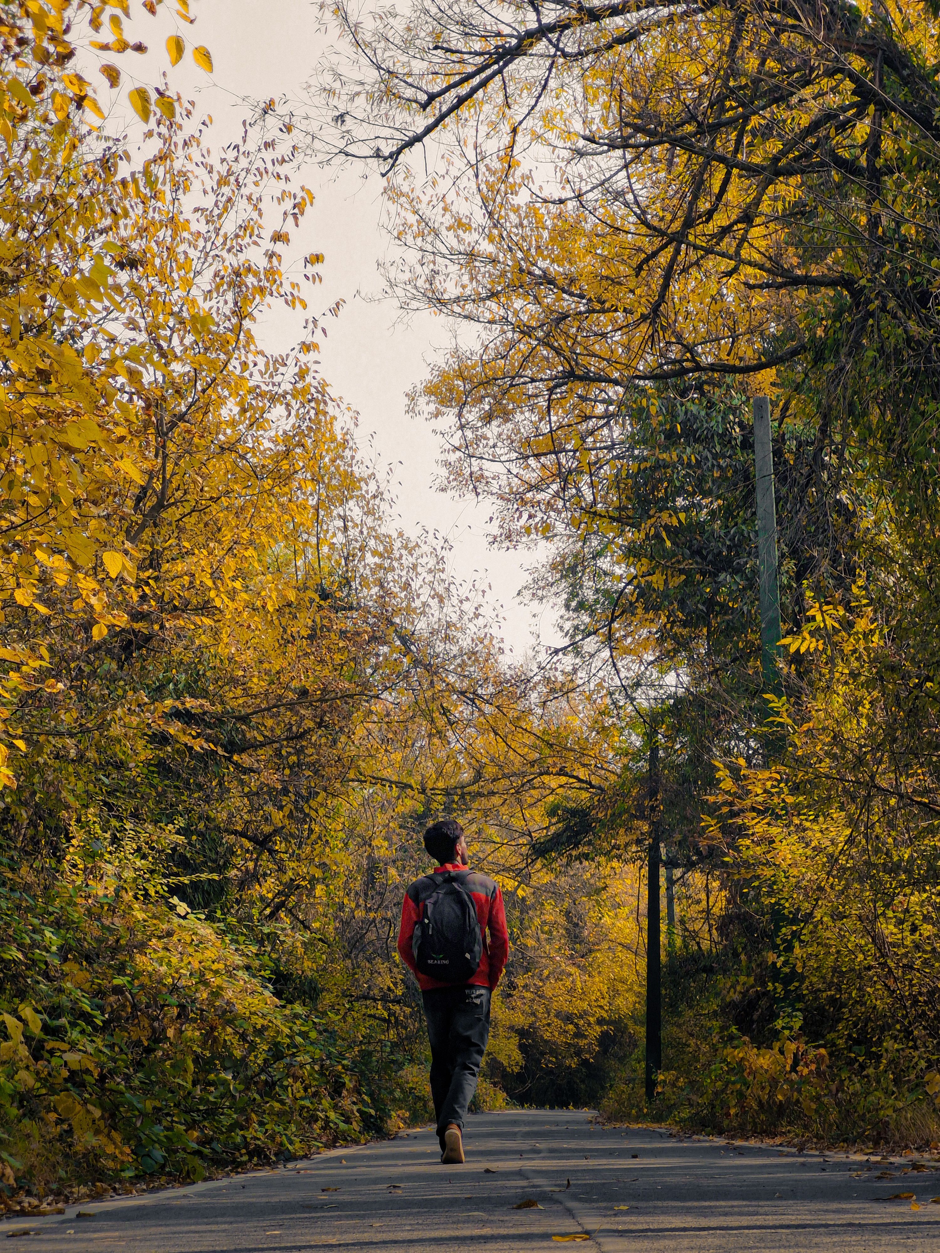 3000x4000 Walking Trails Photo, Download The BEST Free Walking Trails & HD Image