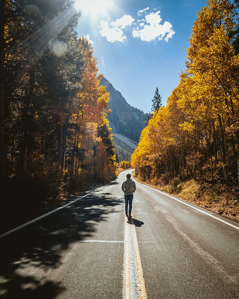 800x1000 Man, road, autumn, walk, loneliness, sunlight, HD phone wallpaper