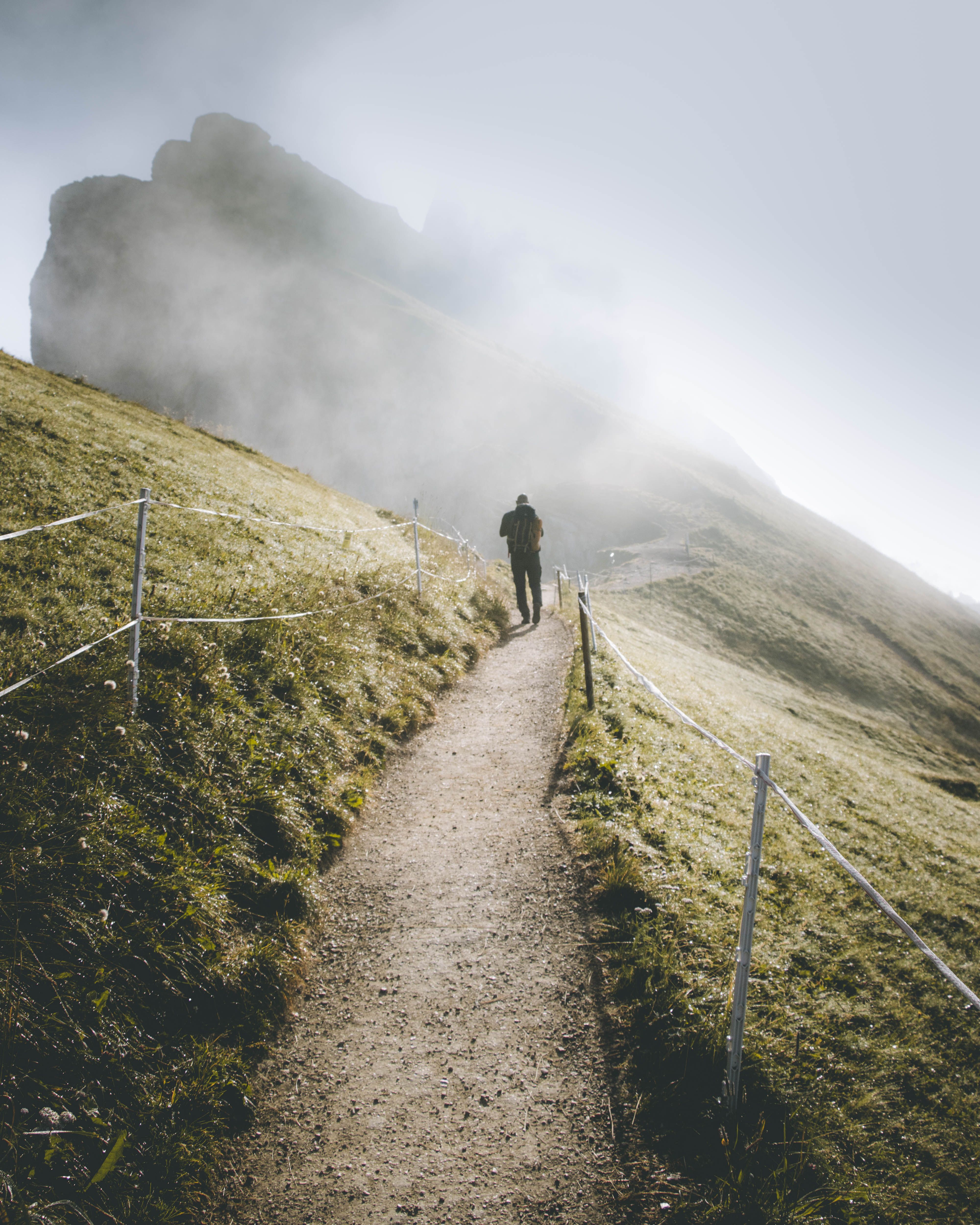 4000x5000 Back View of a Man with a Backpack Walking on a Path · Free
