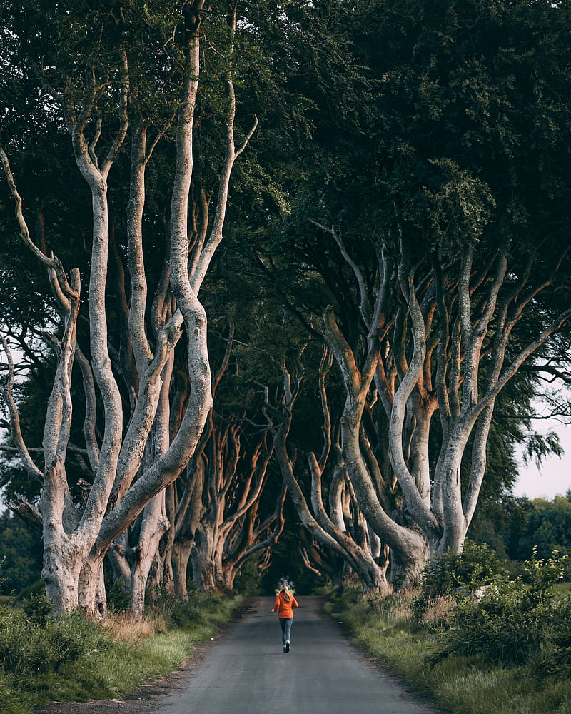800x1000 HD running path wallpaper