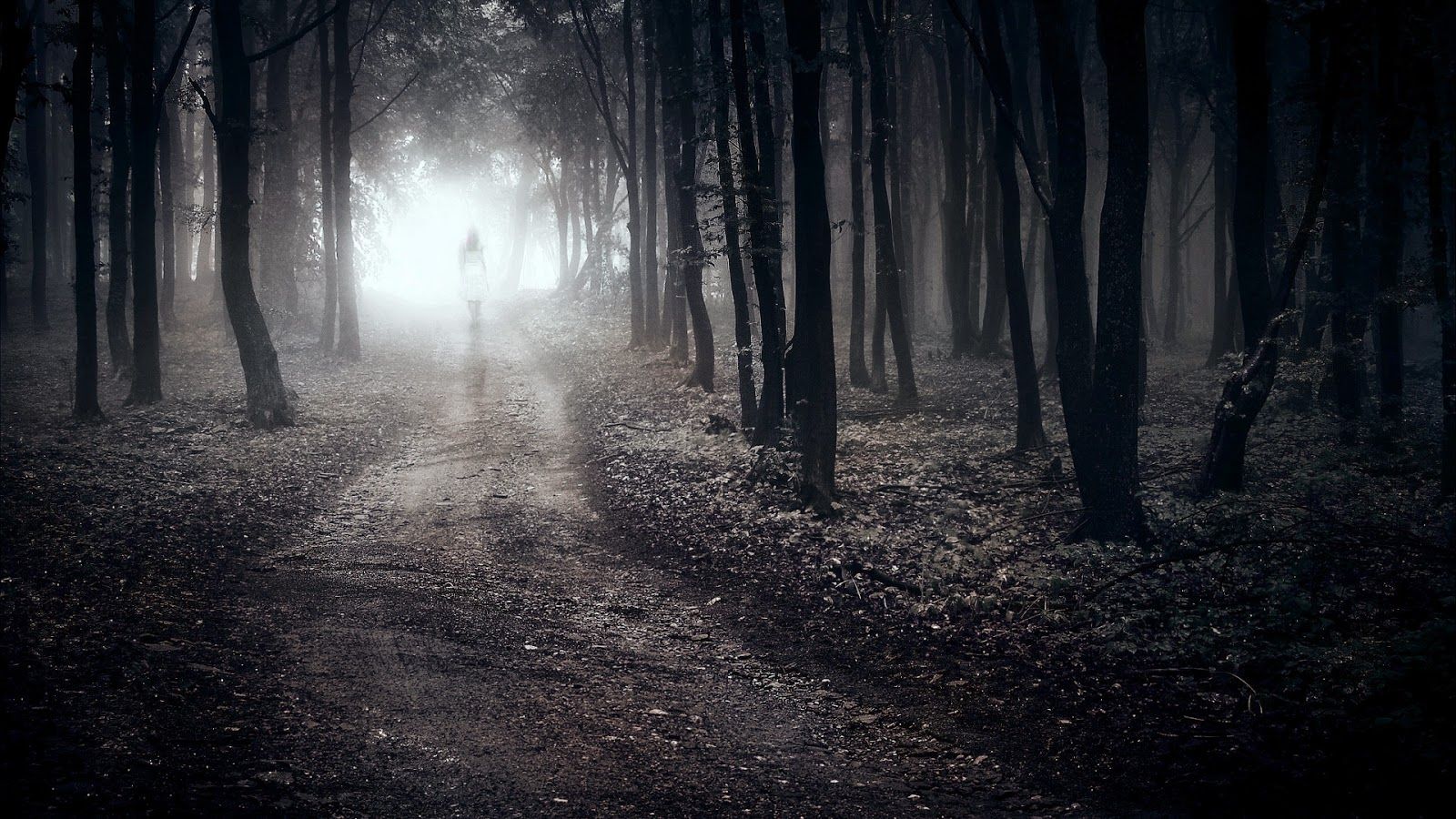 1600x900 Wallpaper Girl Walking Alone In Forest Path Lonely Sad 1920x1080