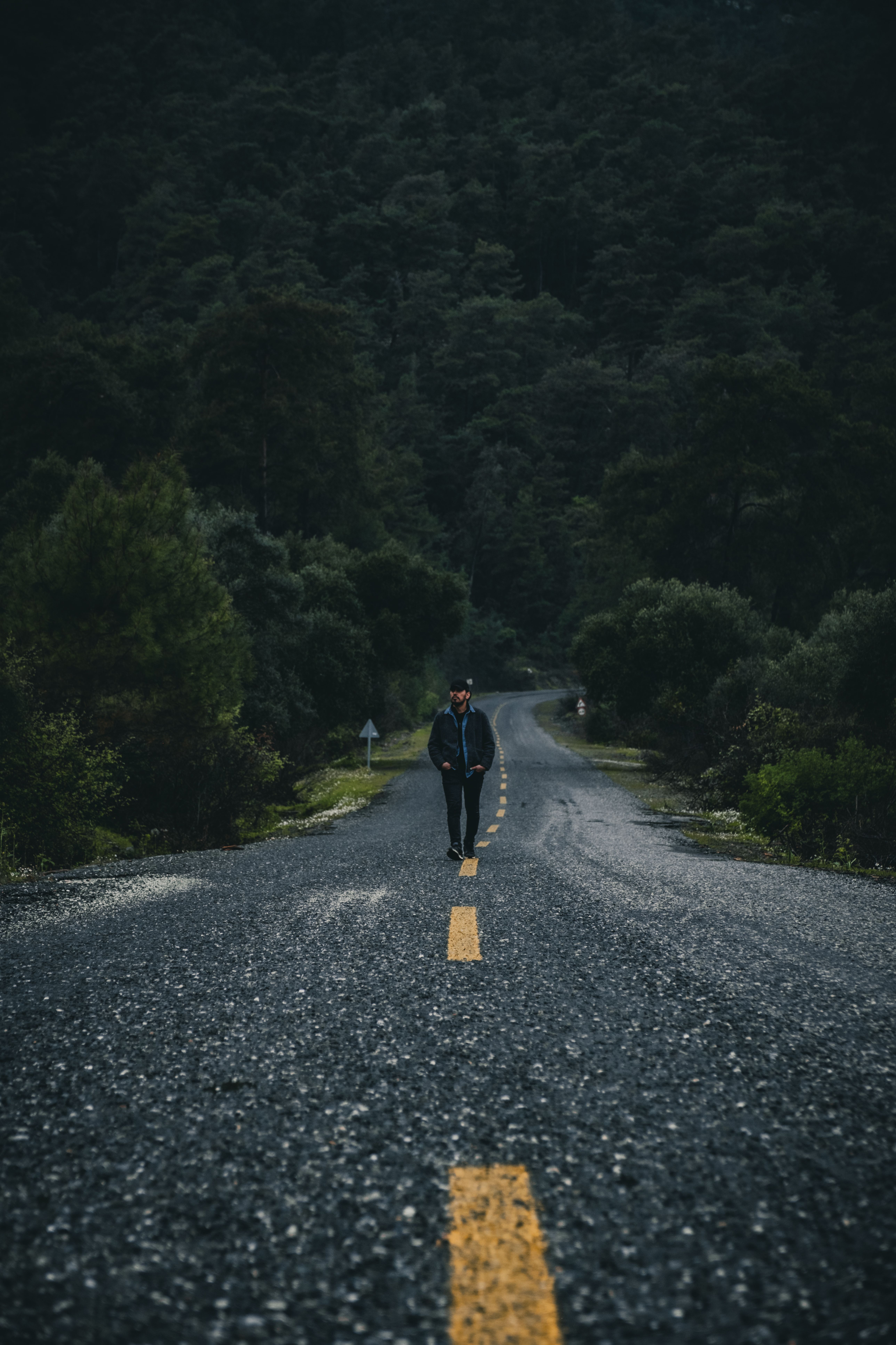 5152x7728 Man Walking on a Path in a Forest · Free