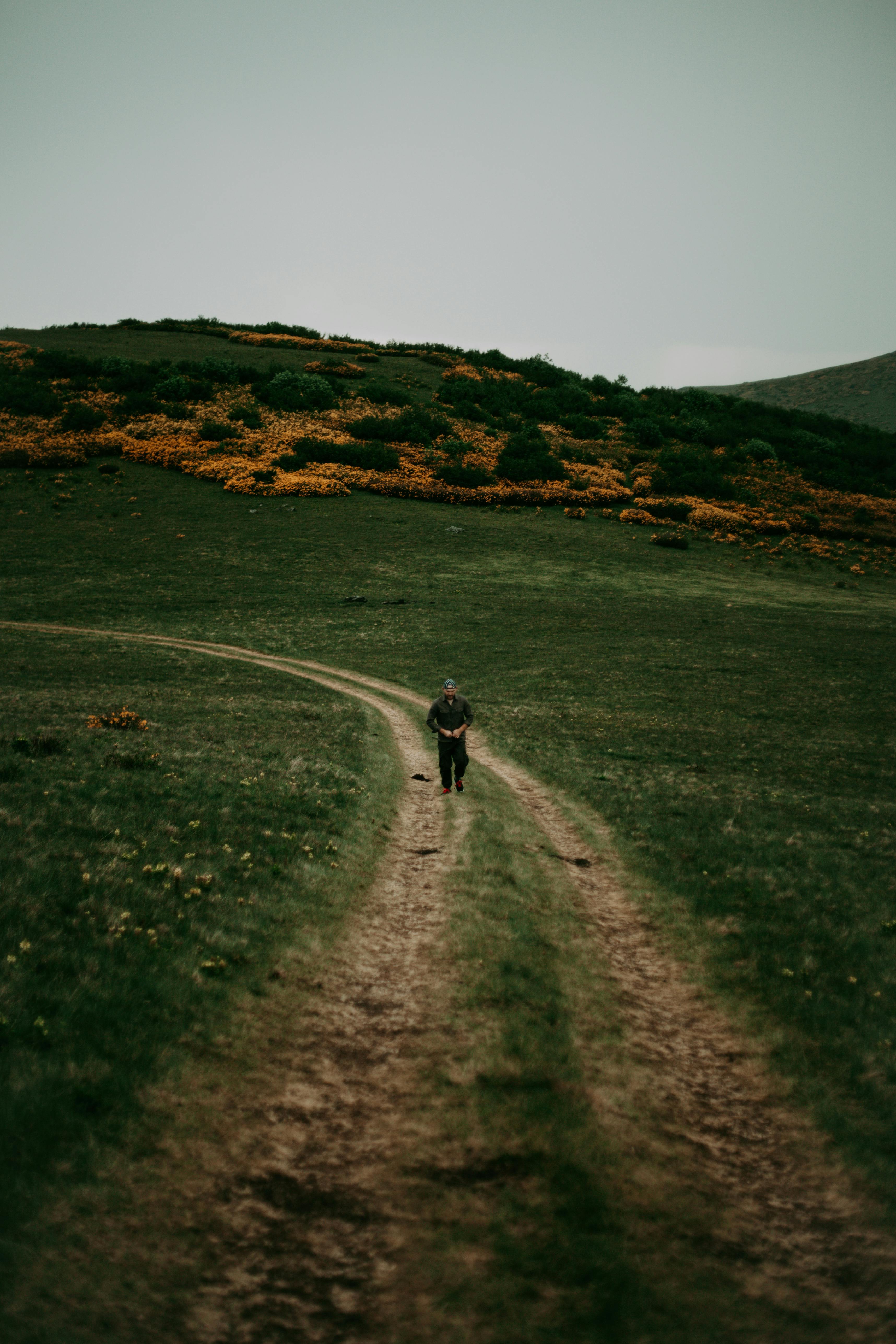 3432x5147 Walking Path Wallpaper
