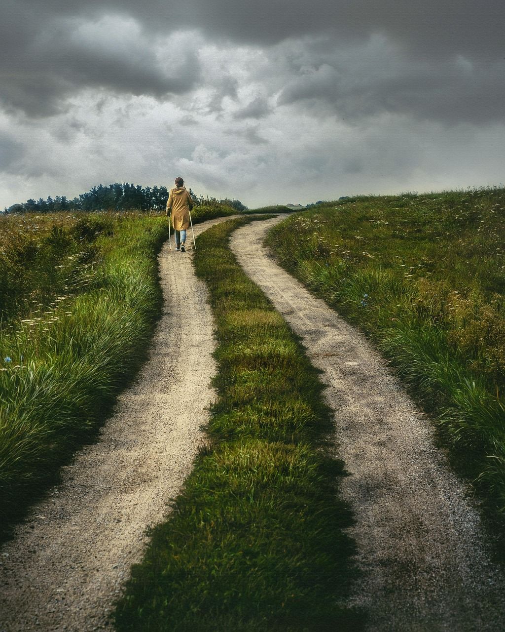 1024x1280 Path Rural Nature