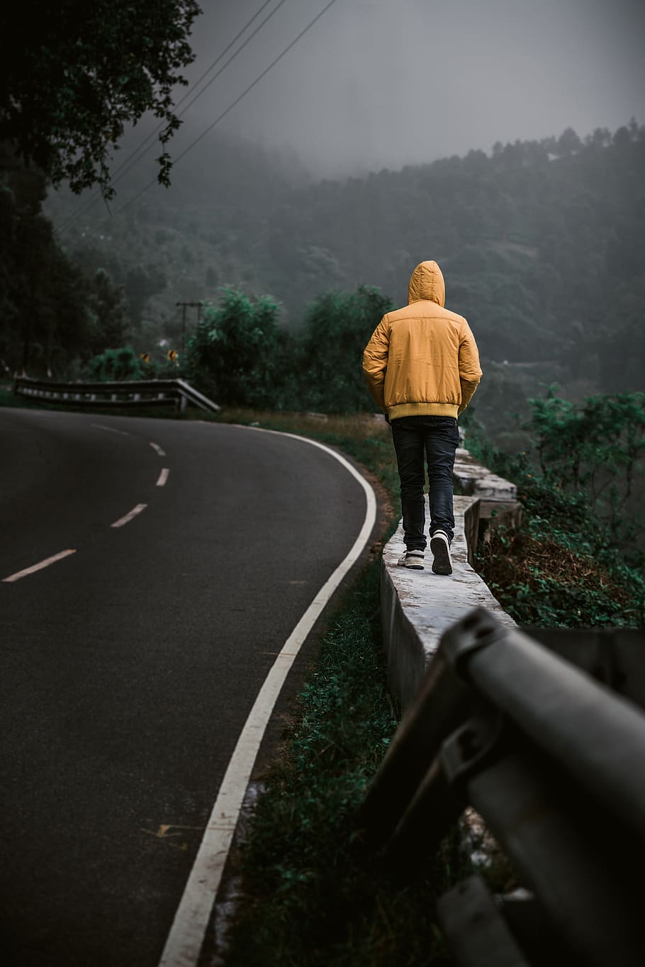 910x1364 Online crop. HD wallpaper: man walking on platform beside road, person, people, human, back