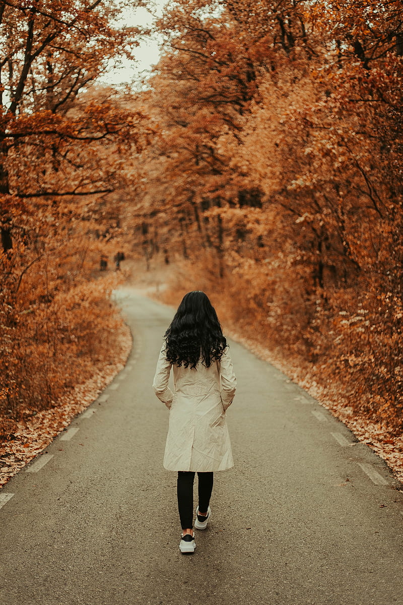 800x1200 The path of the life, tree, girl, people, path, walk, HD wallpaper