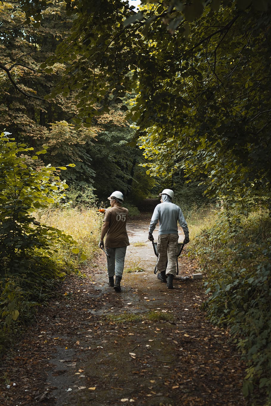 910x1365 HD wallpaper: Two Men Walking on Way in Between Trees, adult, adventure, daylight