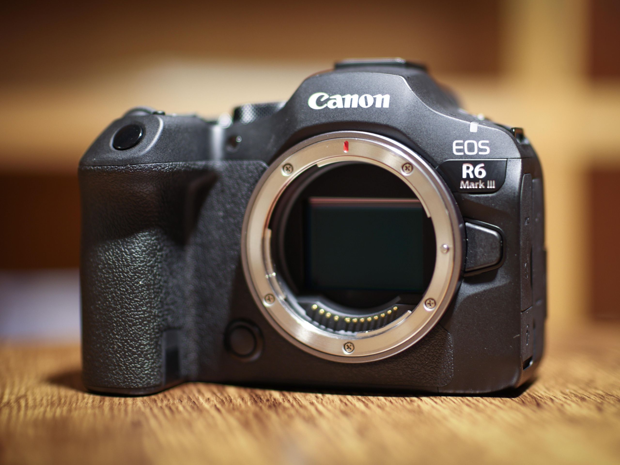 2560x1920 Canon EOS R6 Mark III sample photo gallery: See what Canon's 32.5MP / 7K powerhouse camera can do. Digital Camera World