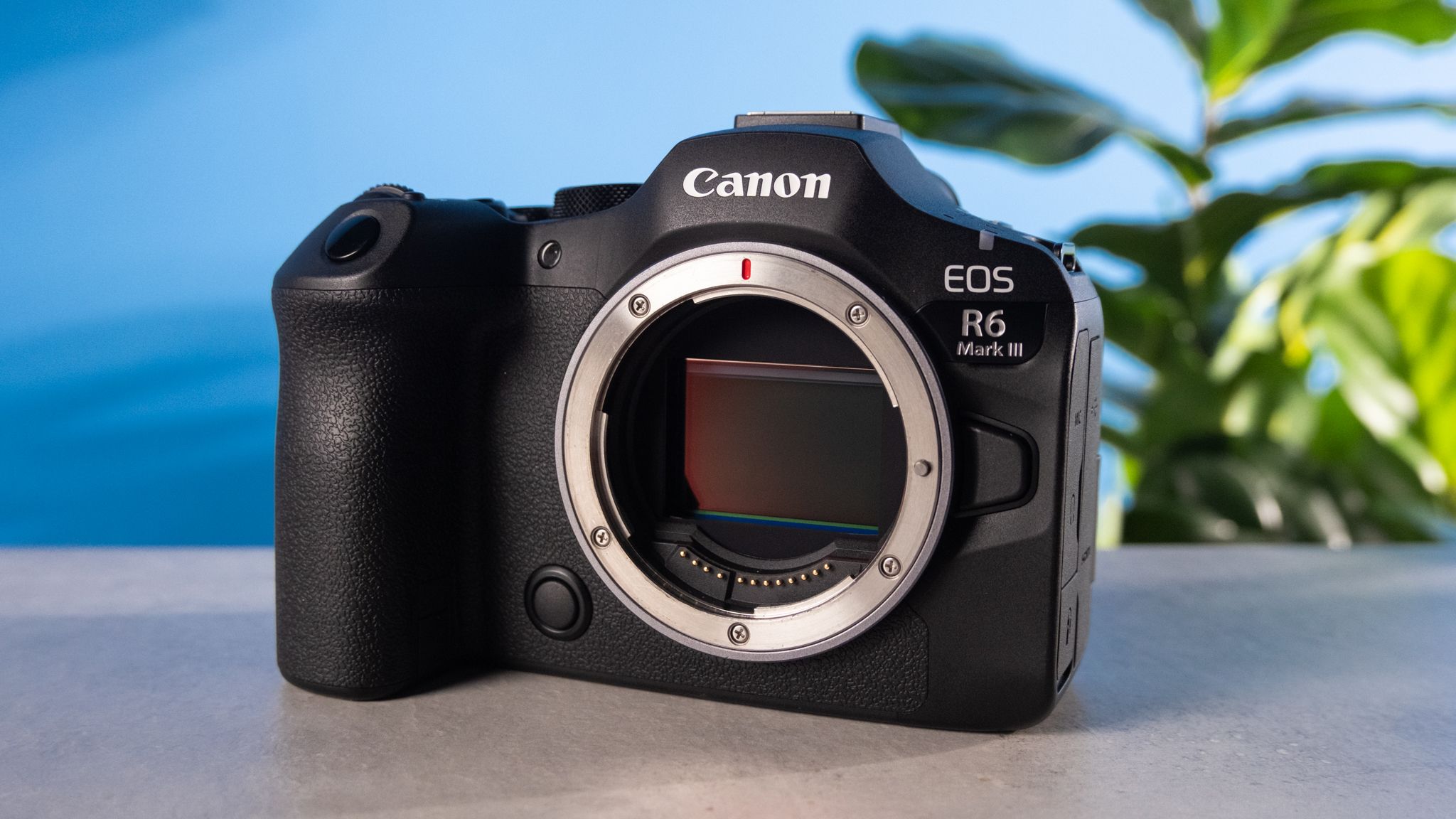 2048x1152 Canon EOS R6 Mark III Review: A Seriously Impressive Mid Range Masterpiece. Tom's Guide