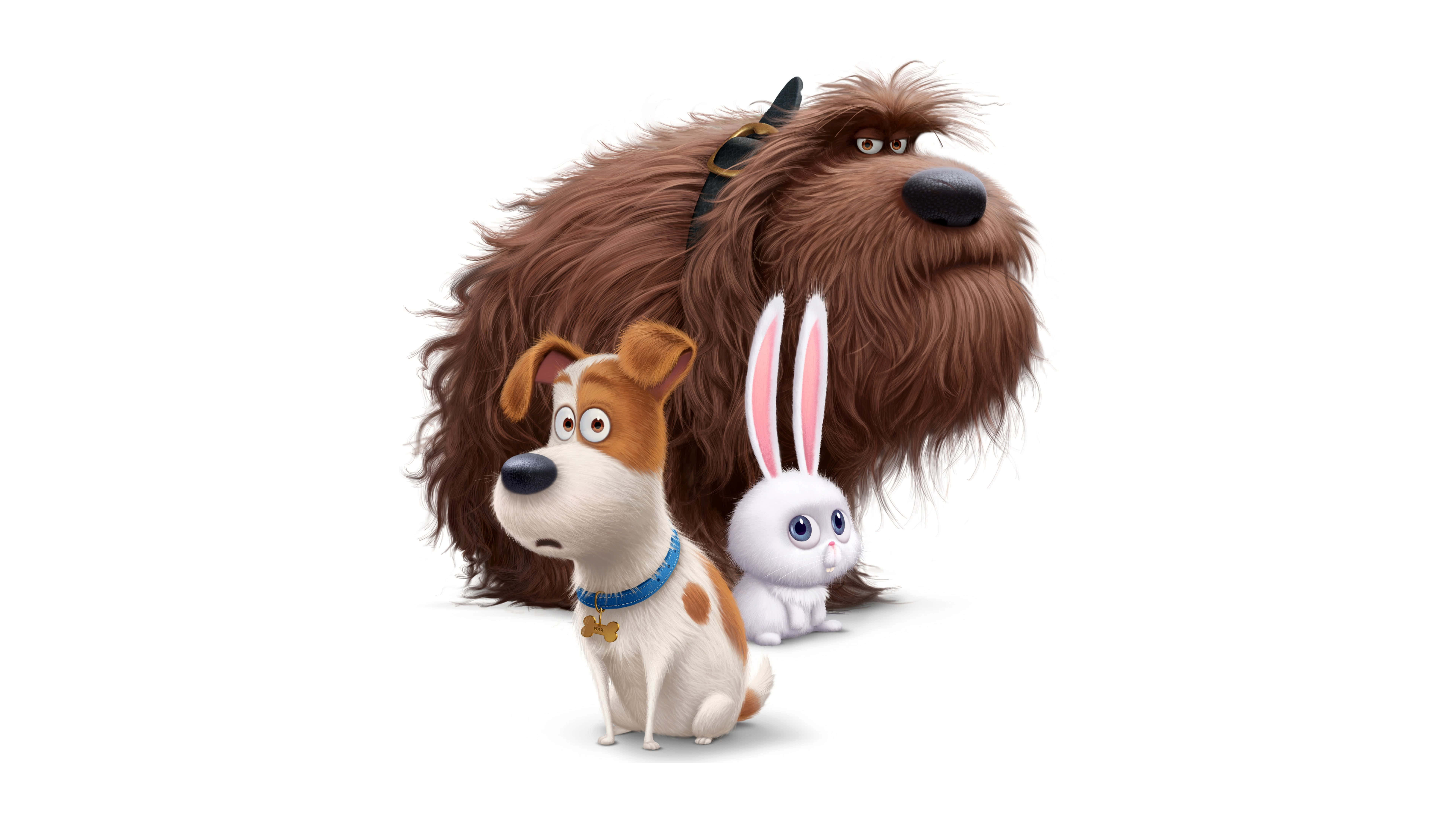 7680x4320 The Secret Life of Pets UHD 8K Wallpaper