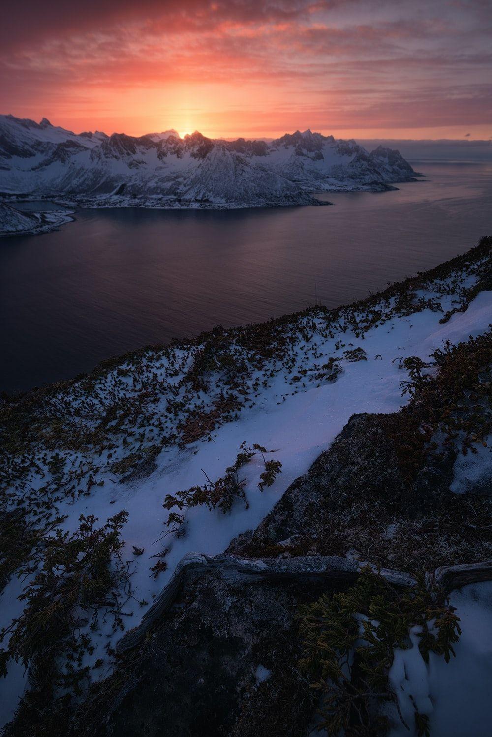 1000x1499 iPhone XR Wallpaper: Free HD Download [HQ]