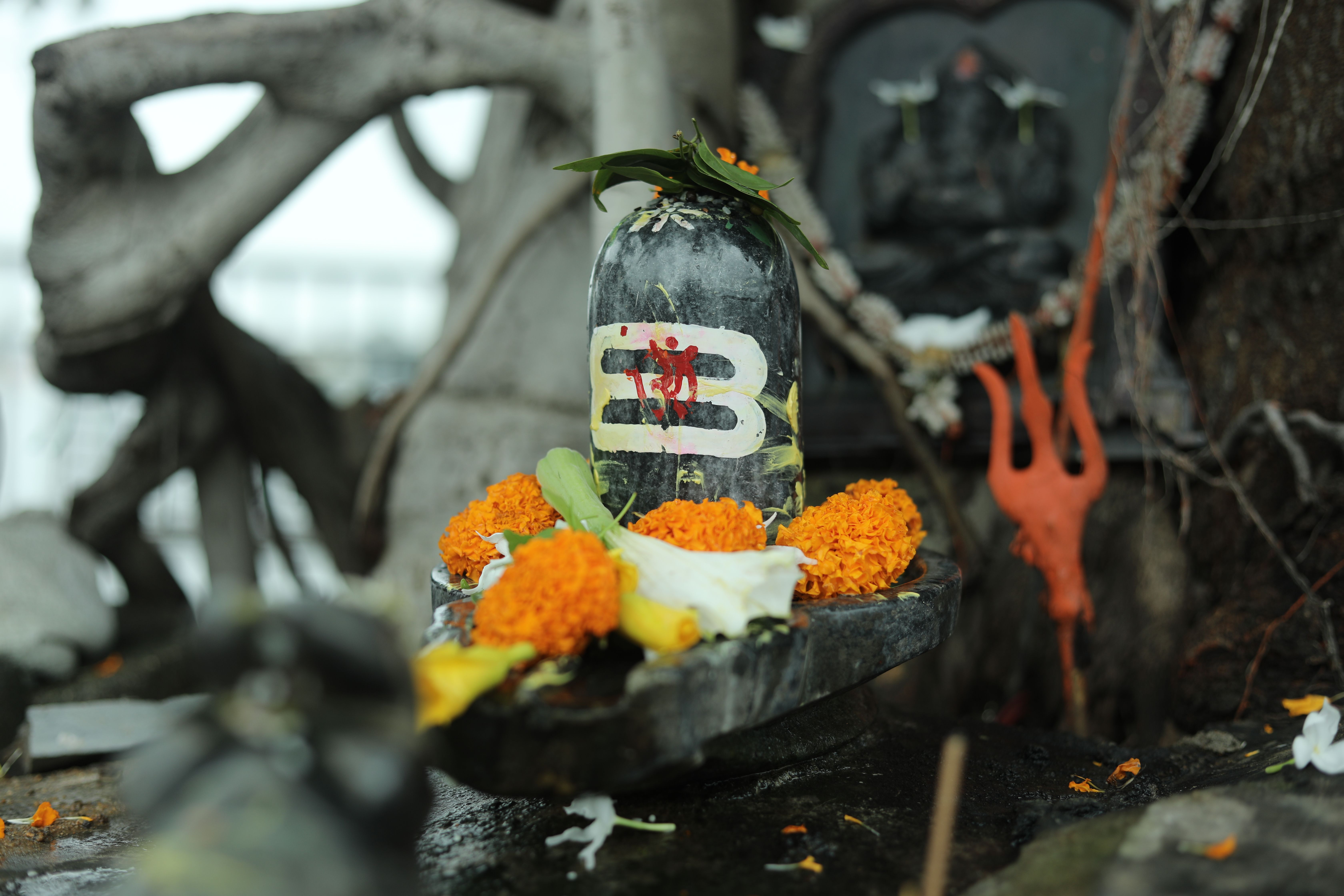 6720x4480 Shiva Lingas in Pashupatinath Temple, Nepal · Free