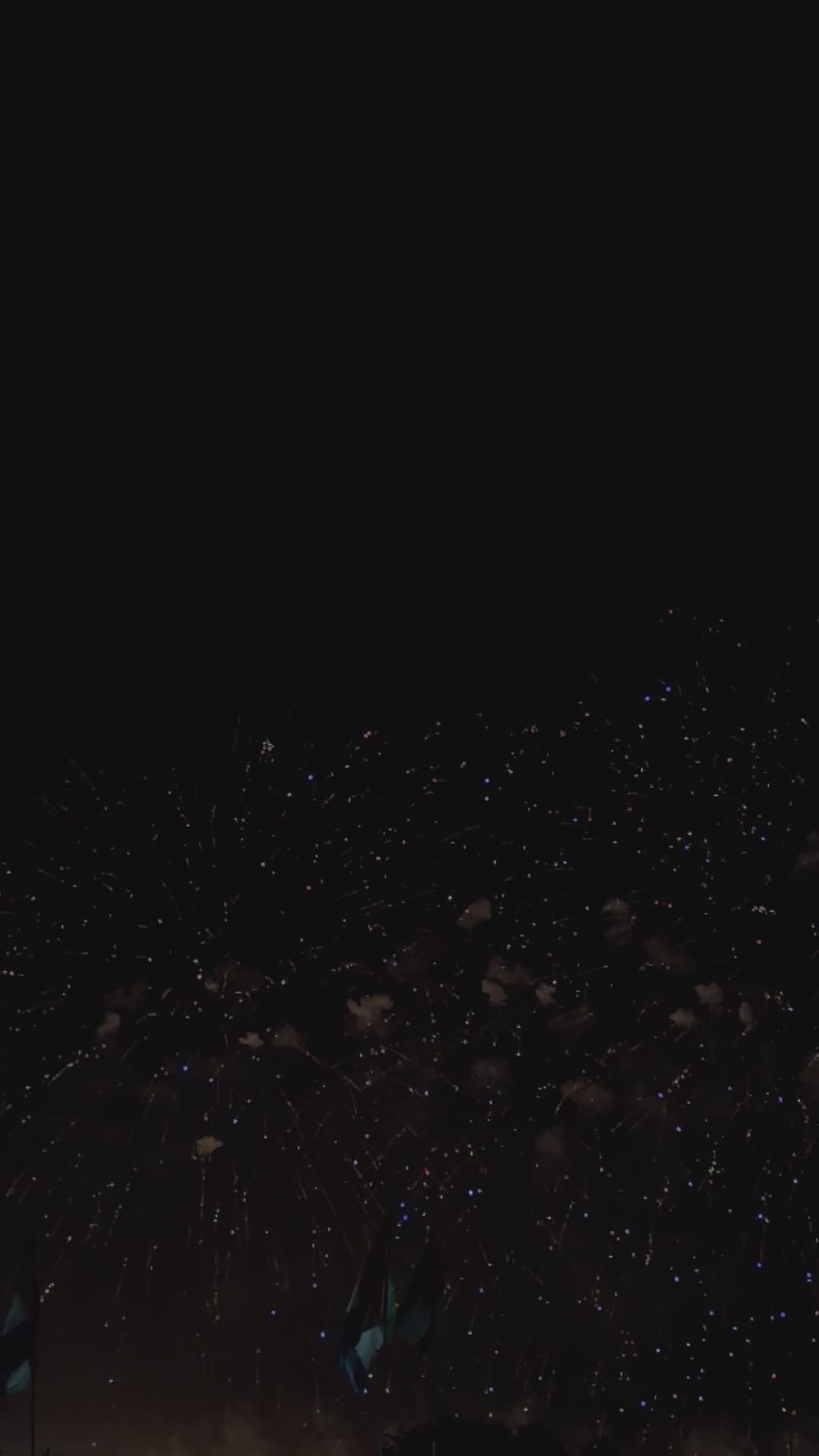 1080x1920 Stunning Nighttime Fireworks Display