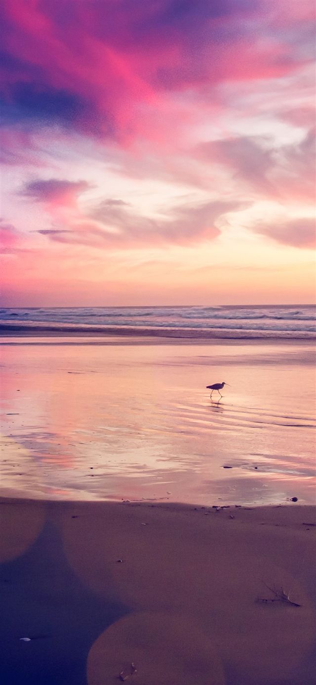640x1385 Best iPhone Wallpaper Free HD Download