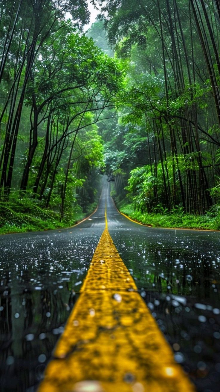 736x1308 Aesthetic Road Wallpaper Background for iPhone and Android. Rainy photography nature, Nature road photography, Forest