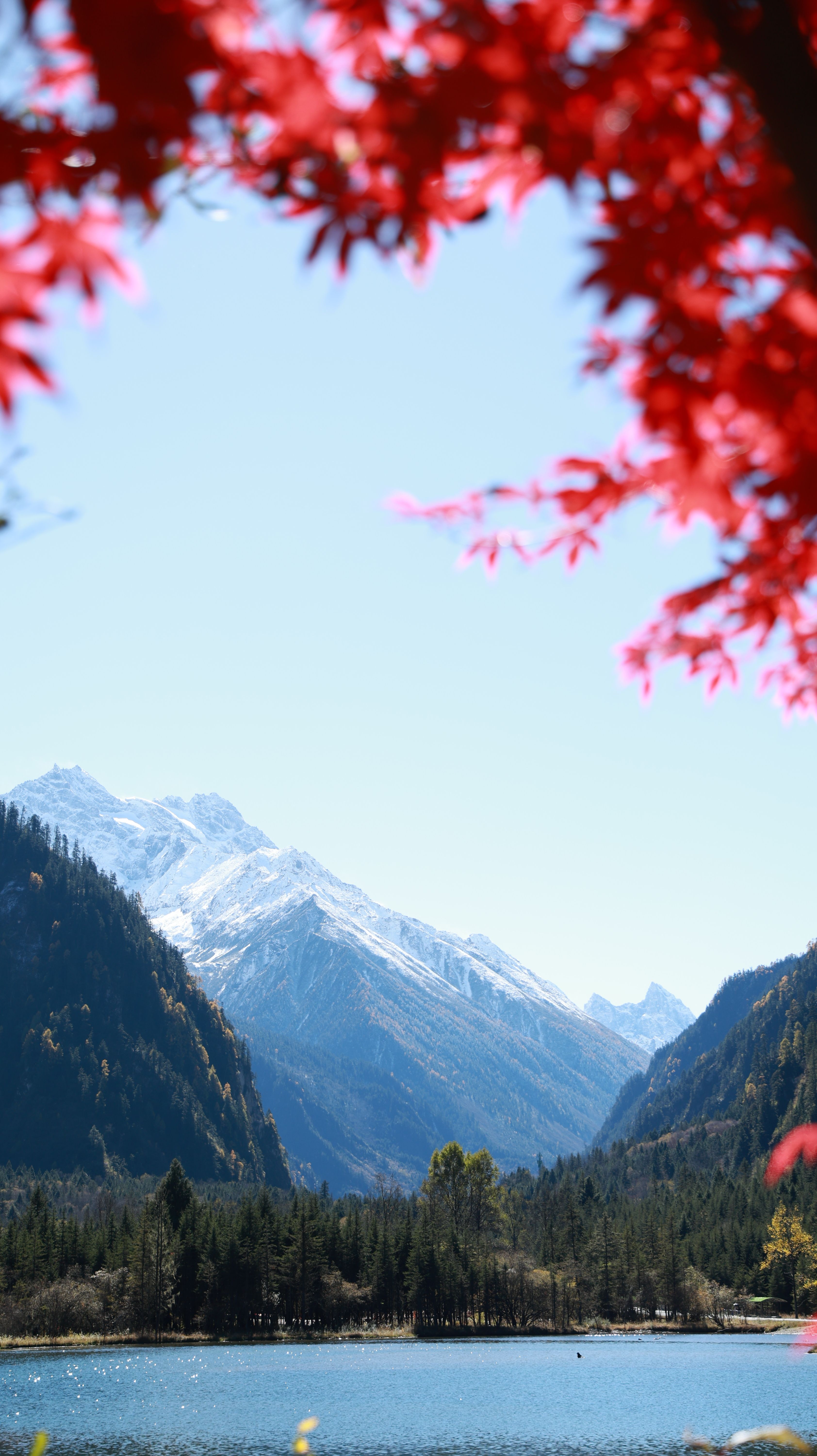3368x6000 4k Wallpaper Donghua Photo, Download The BEST Free 4k Wallpaper Donghua & HD Image