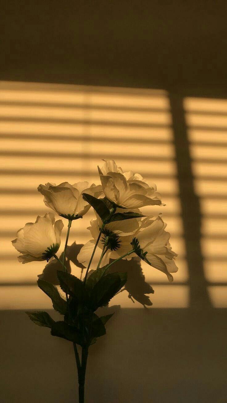 736x1309 Pinterest Aesthetic Wallpaper