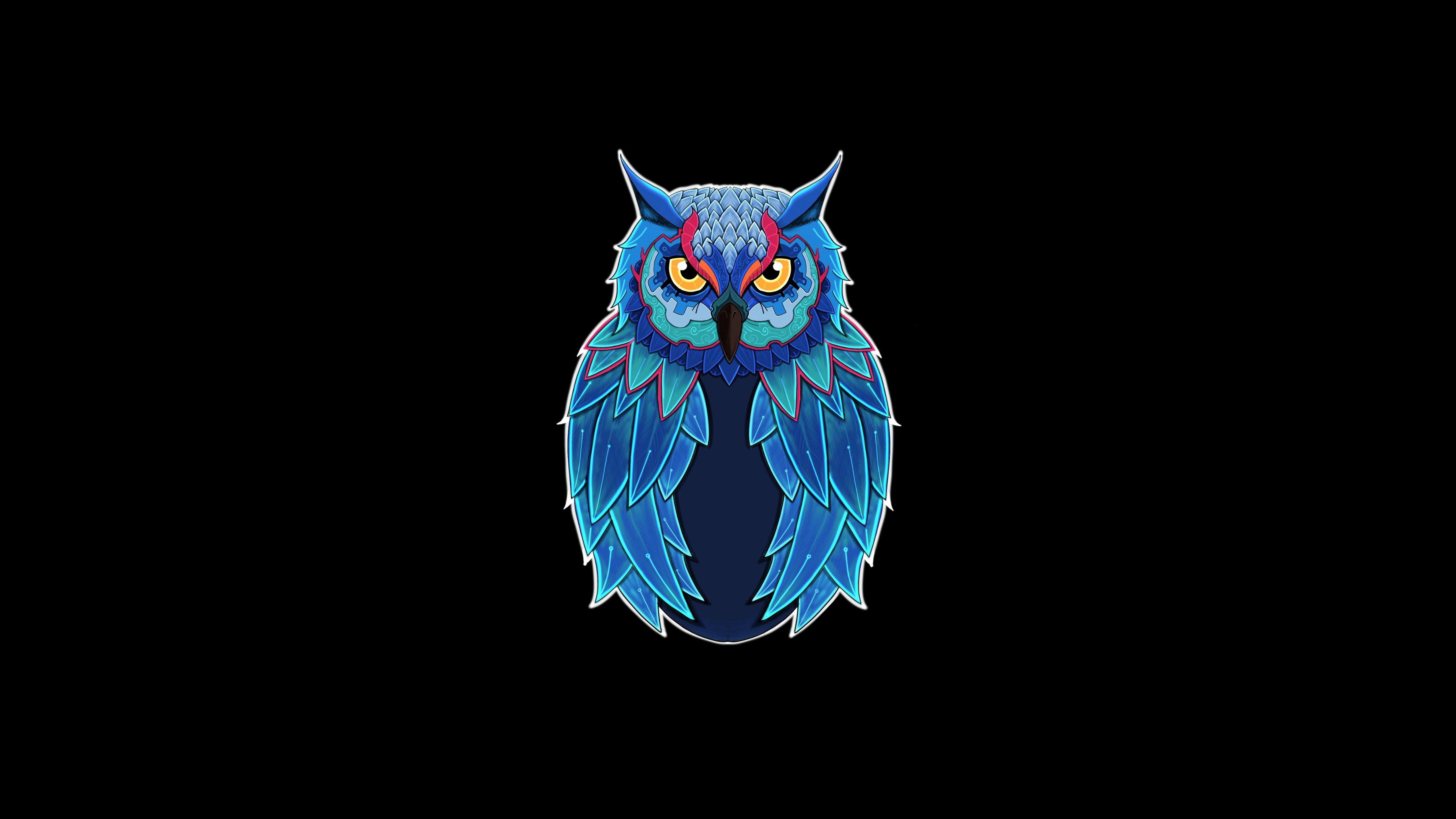 5120x2880 Owl Dark 5k 5k HD 4k Wallpaper, Image, Background, Photo and Picture
