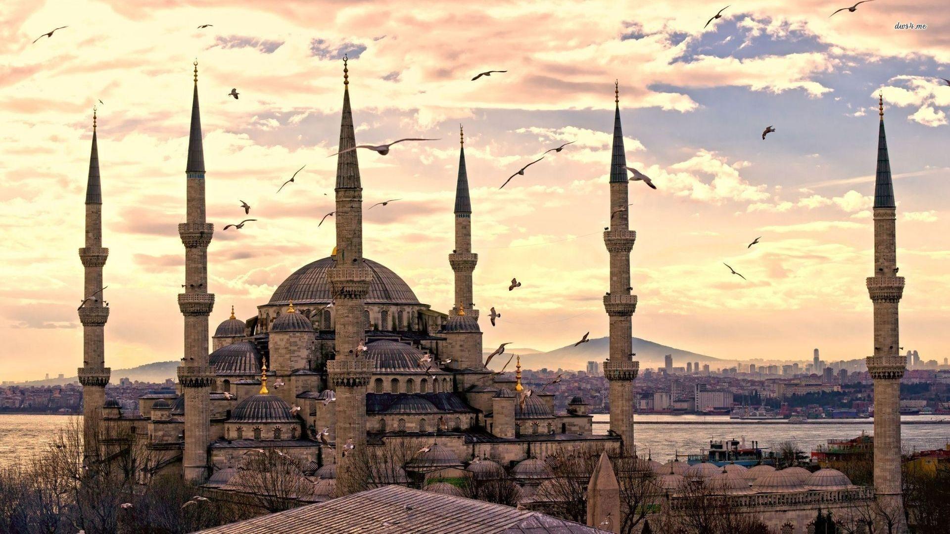 City Turkey Istanbul Sultanahmet Mosque Wallpaper  1536x2048