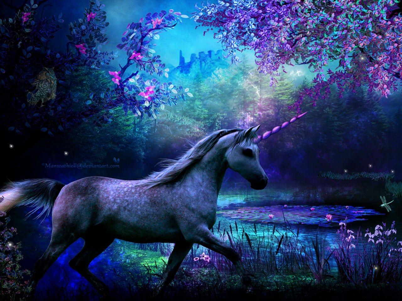 1280x960 Wallpaper Free Unicorn Image