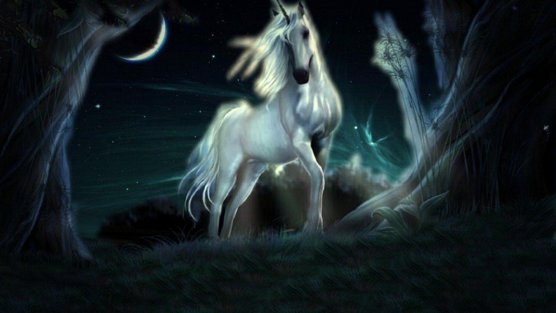 1920x1080 Unicorn Wallpaper HD Live Wallpaper HD