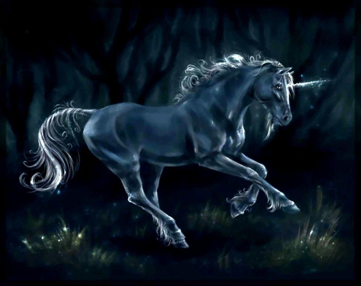 1190x942 Black Unicorn Desktop Wallpaper