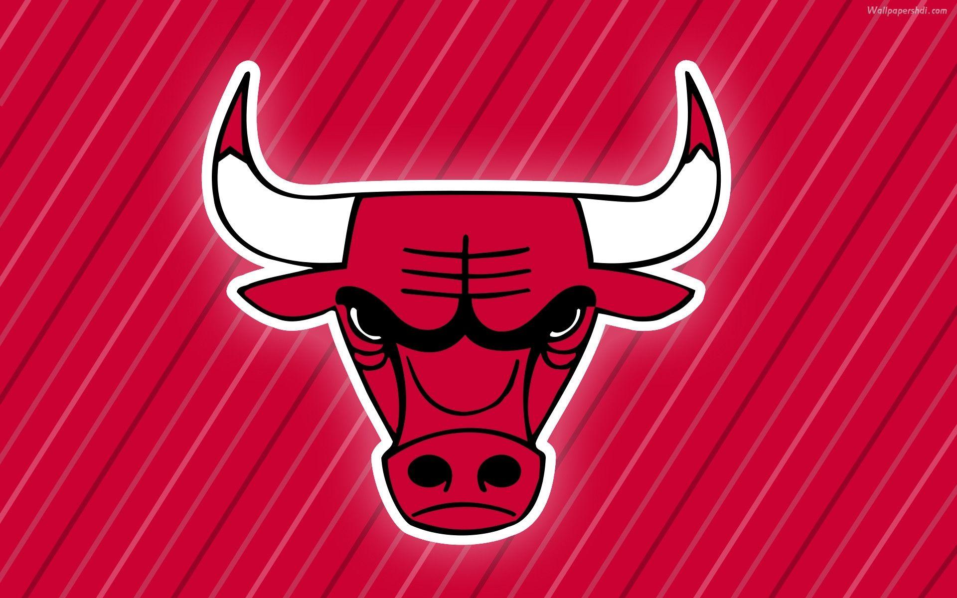 1920x1200 Chicago Bulls Logo Wallpaper