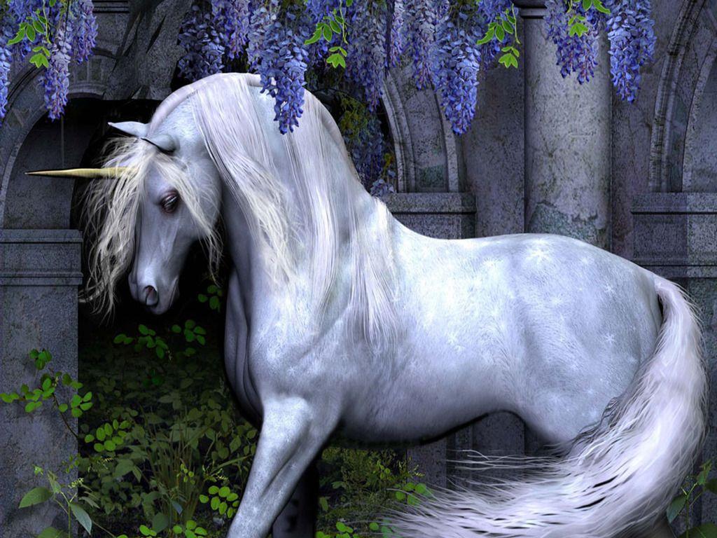 1024x768 Fantasy Desktop Wallpaper ⇔ 910377 Unicorn Wallpaper