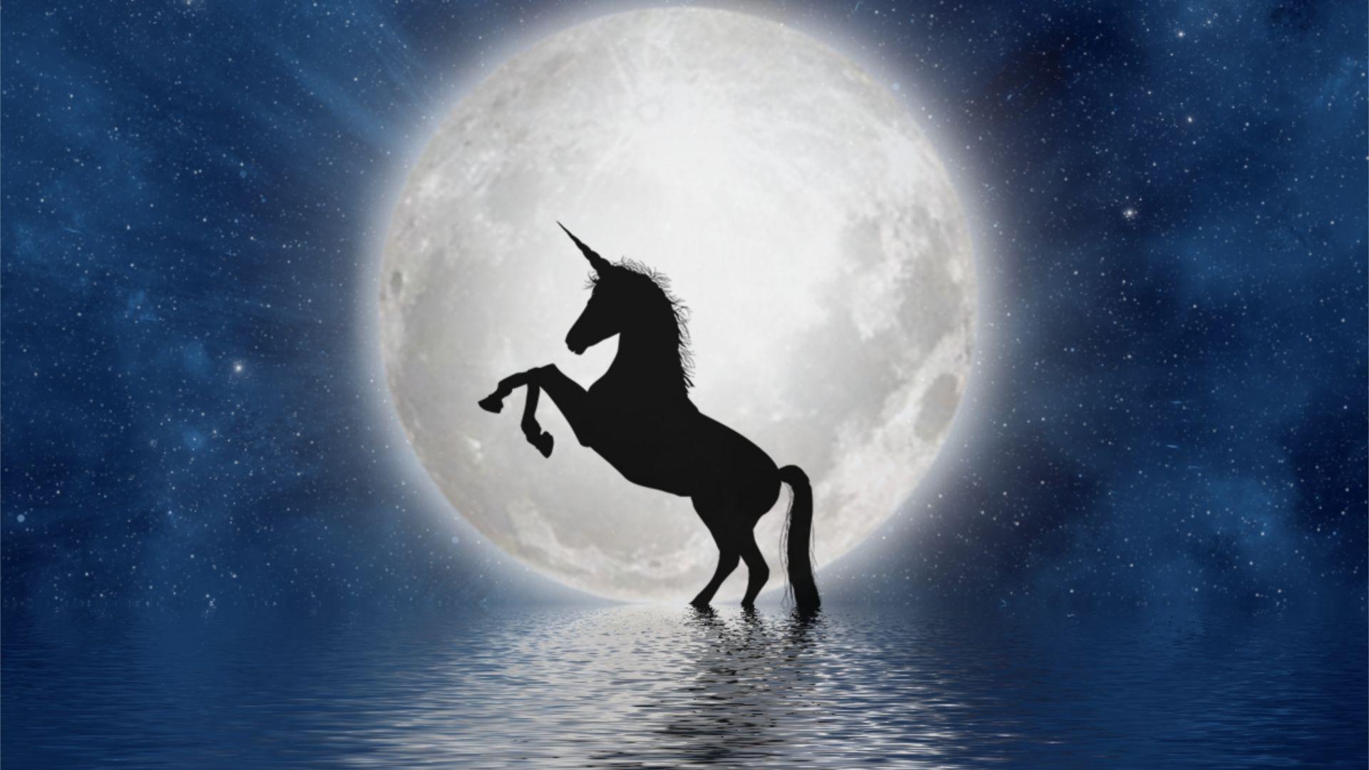 1920x1080 Desktop wallpaper unicorn, moon, silhouette, art, HD image, picture, background, 540eee
