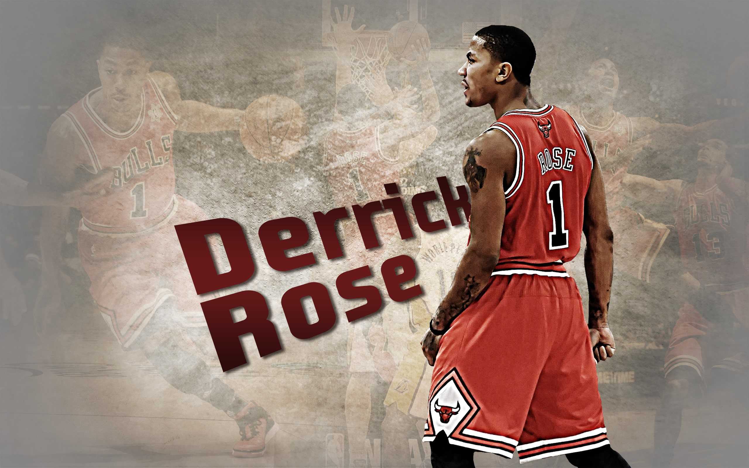 2560x1600 Derrick Rose Bulls Wallpaper Free HD Wallpaper
